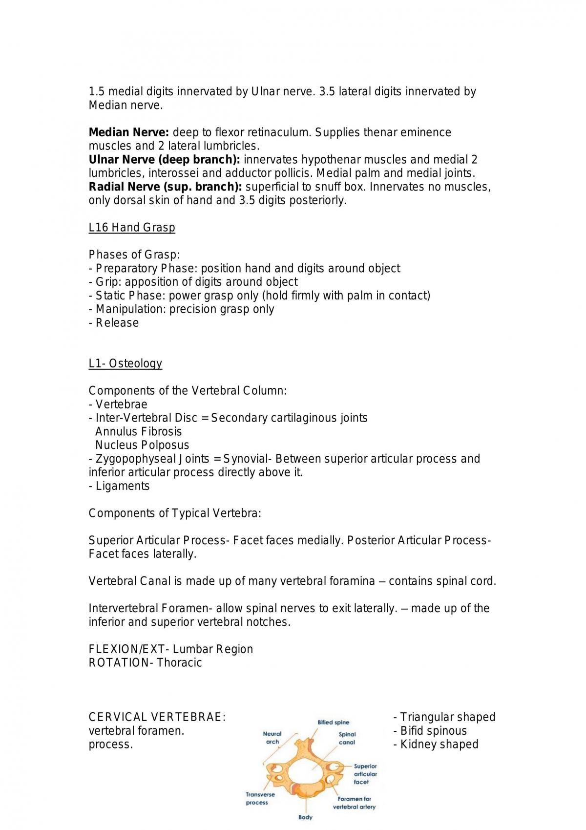 Human Anatomy B Notes - Page 16