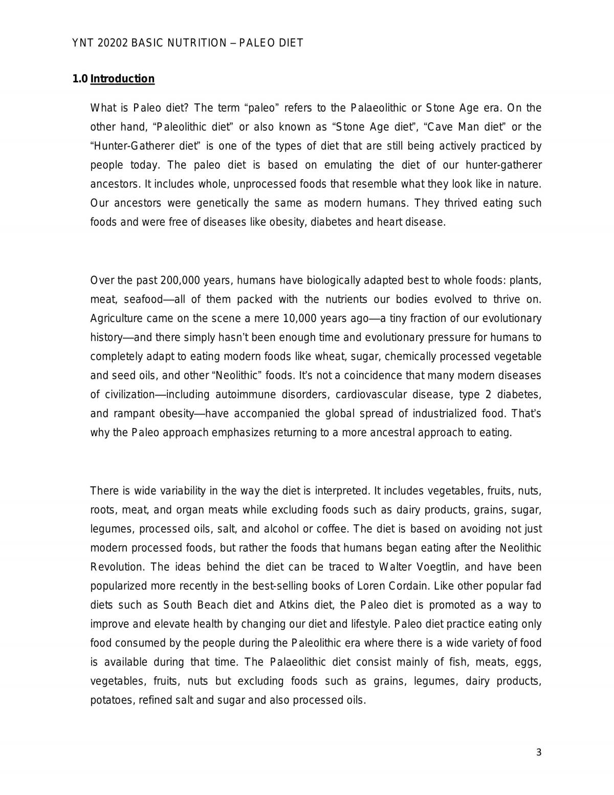 Paleo Diet - Page 3