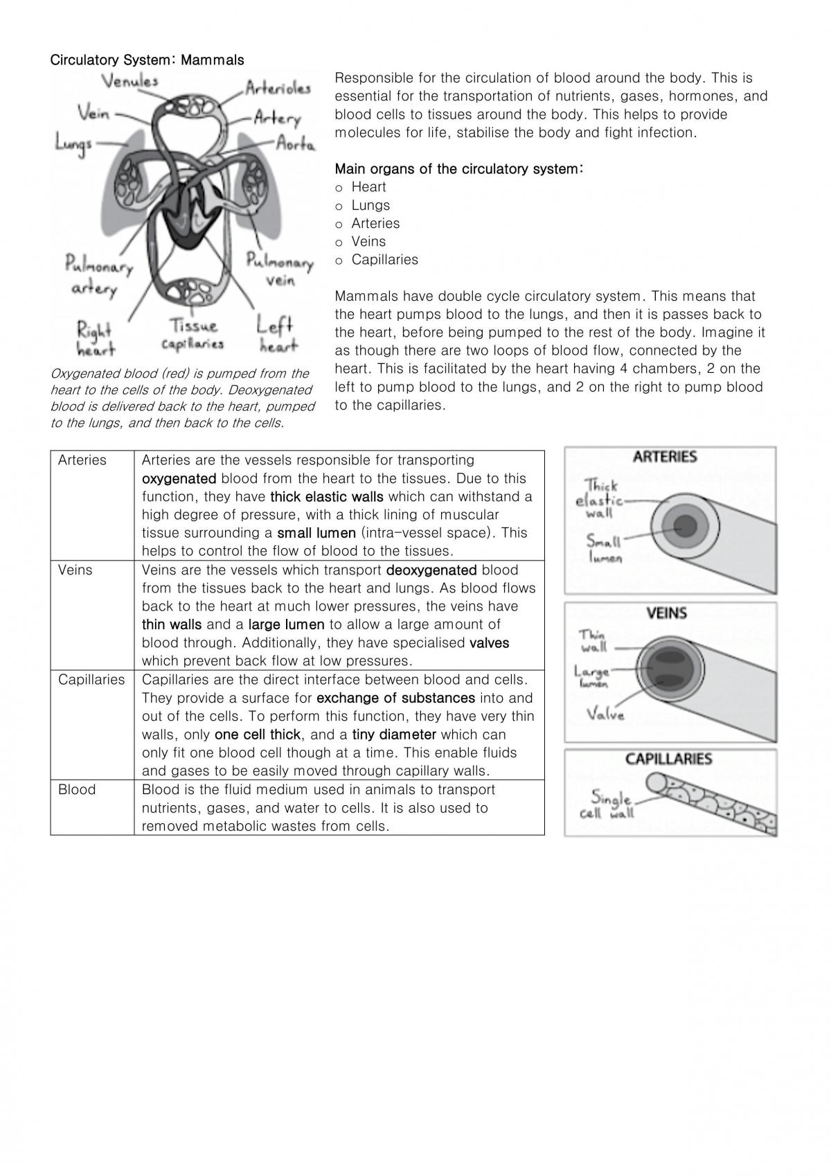 Complete Biology Preliminary Notes - Page 43