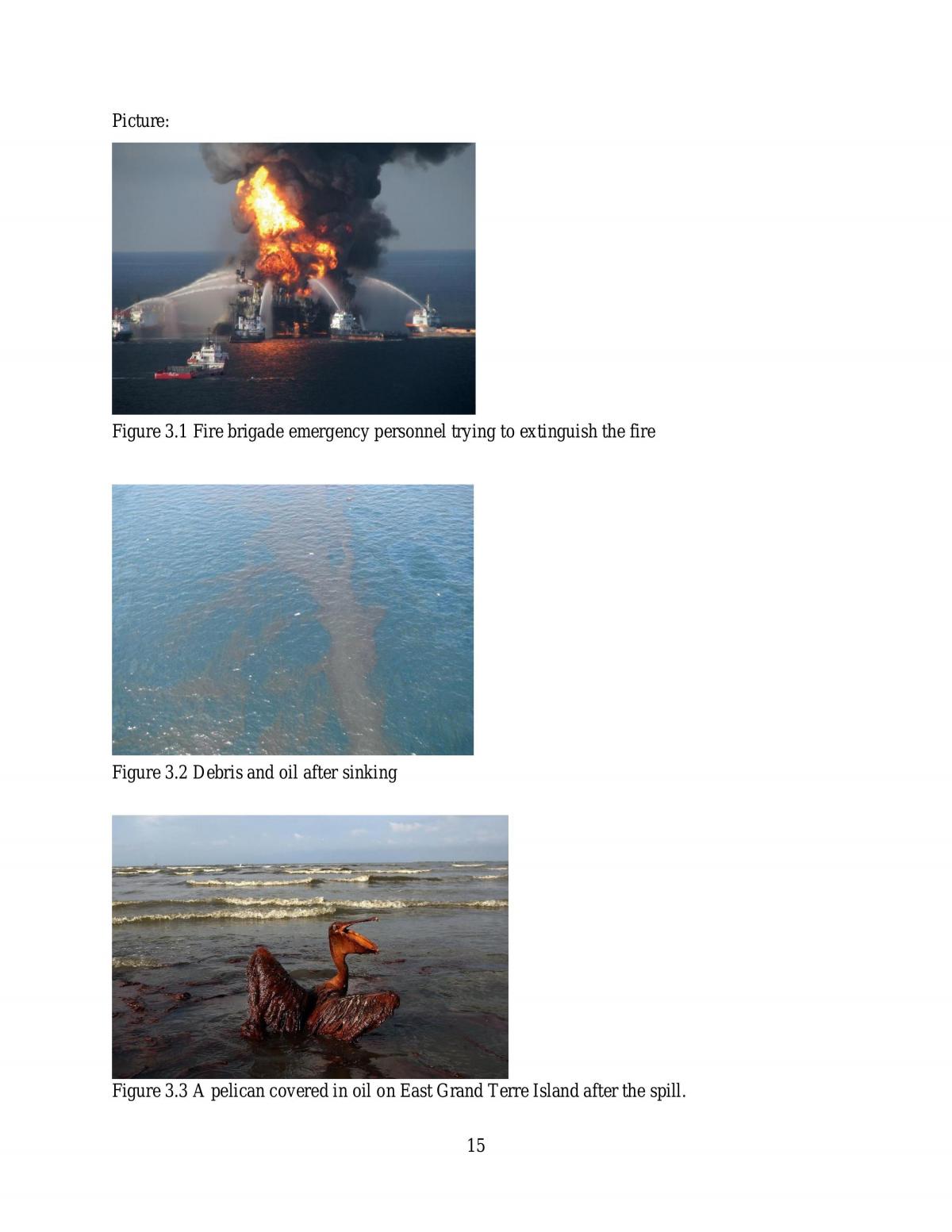 Case study of man-made disaster - Page 12