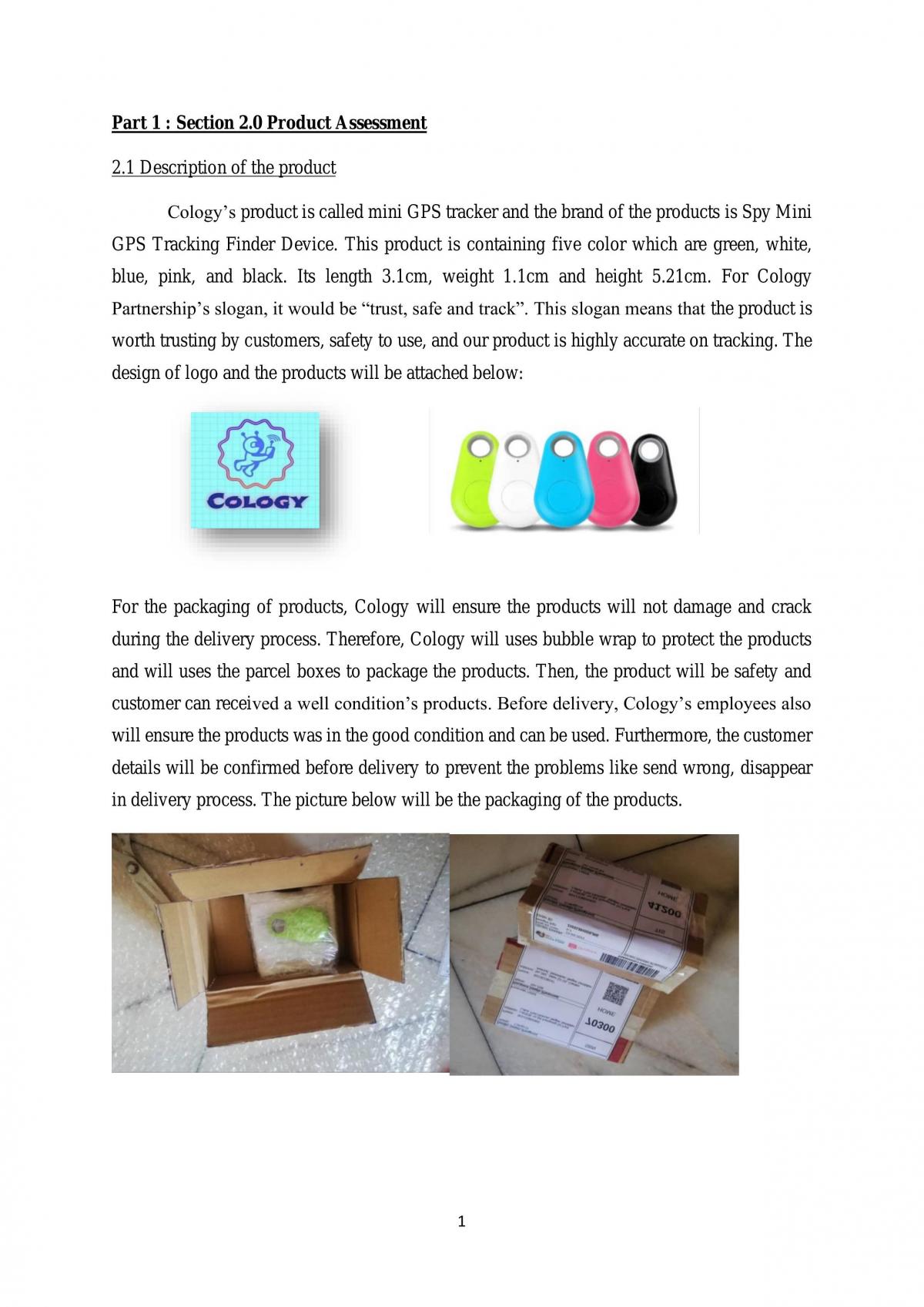 Technopreneurship Assignment - Page 3