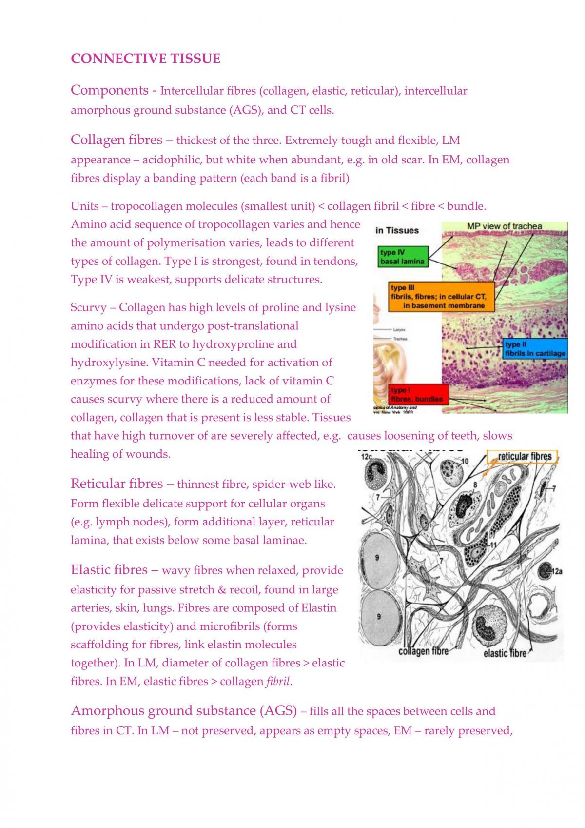 Study Notes - Page 40
