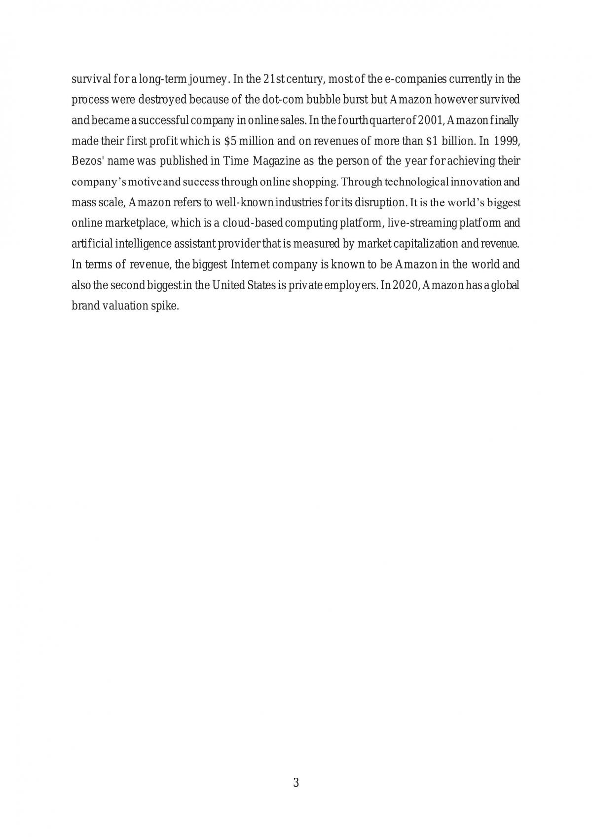 Company Innovation Report (Amazon.com) - Page 3