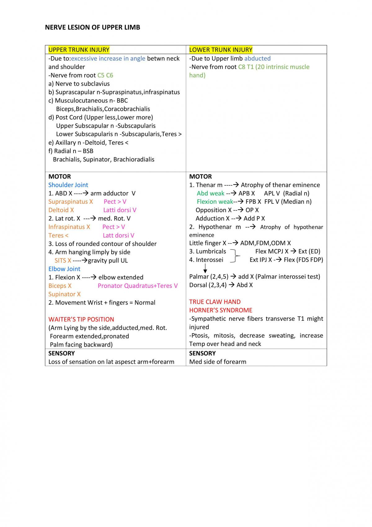 Musculoskeletal System - Page 16