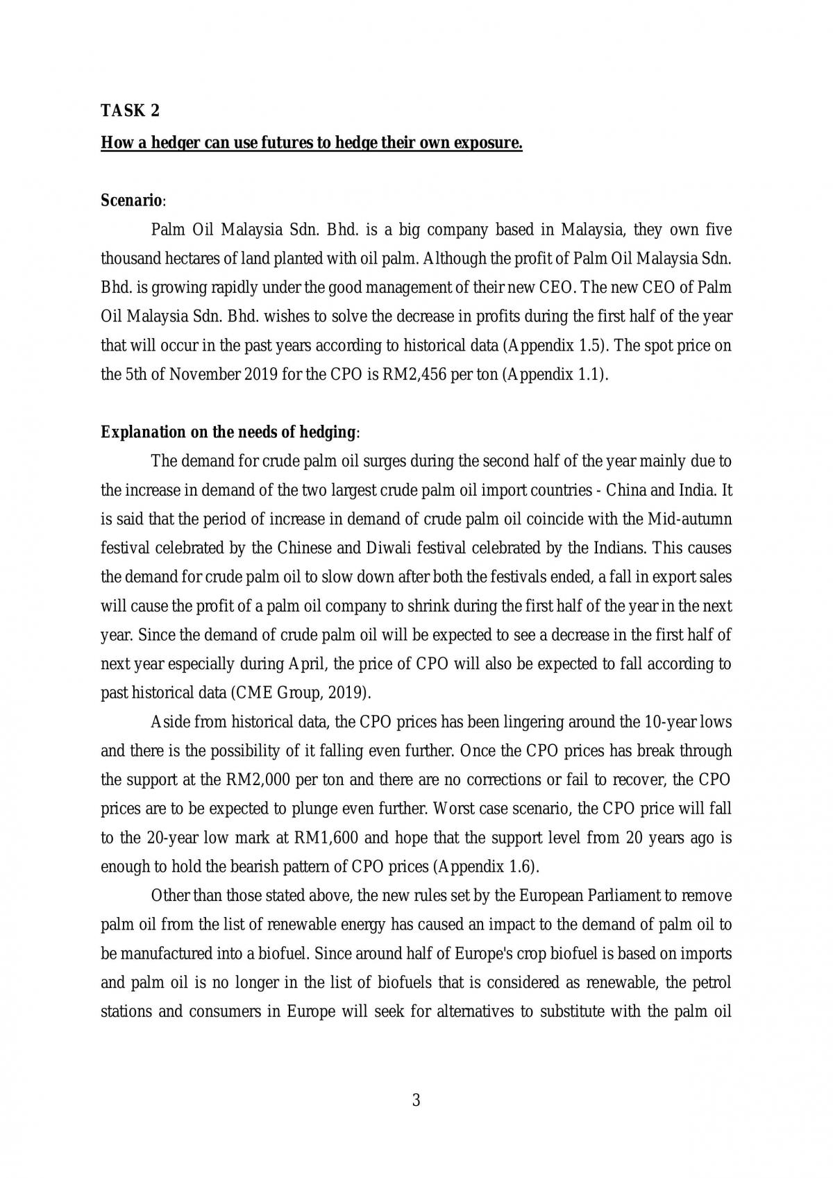 Forex and Derivatives Group Assignment - Page 3