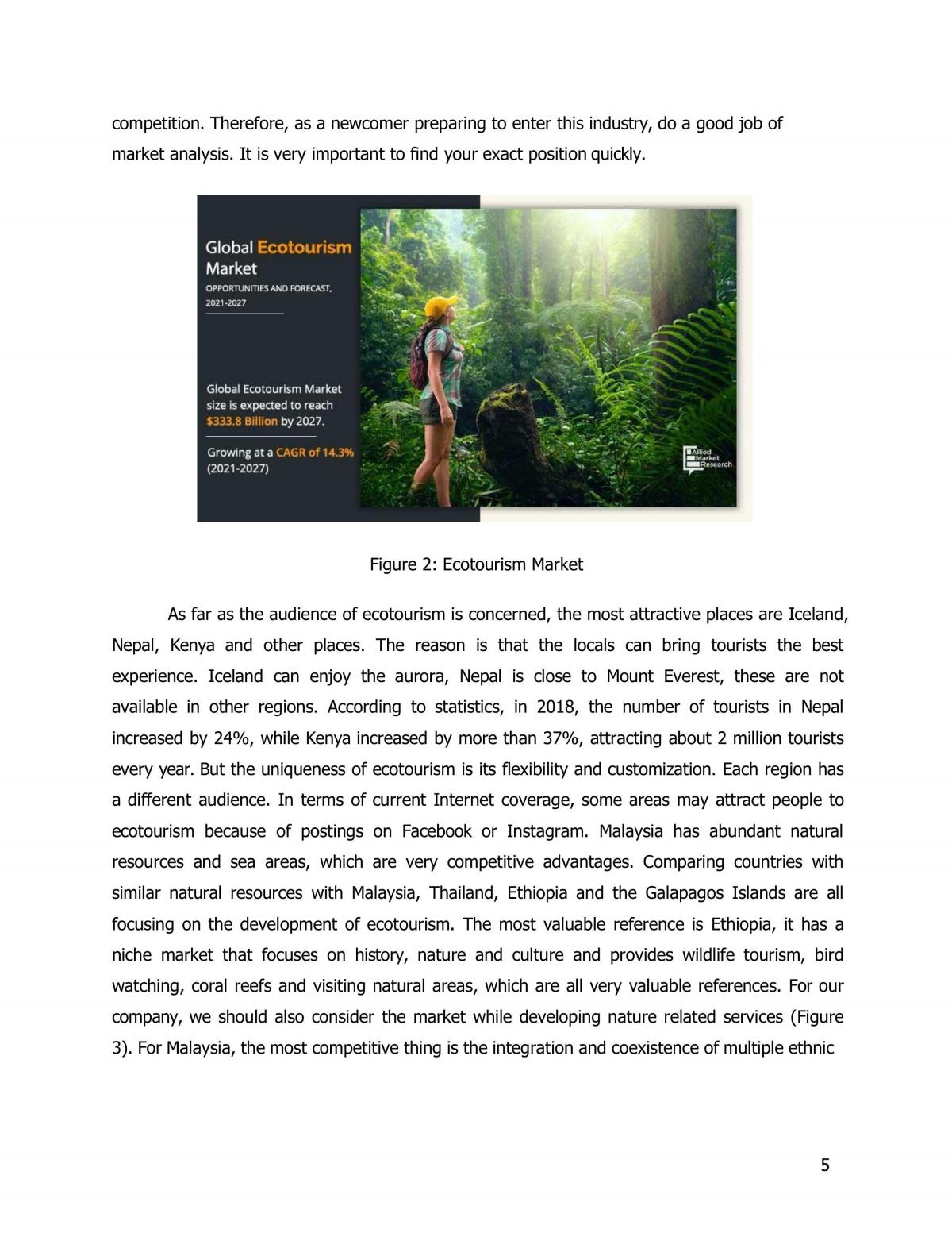 Business Plan Development - Page 5