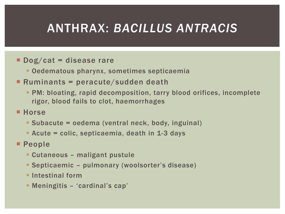 Bacteriology Study Notes - Page 47