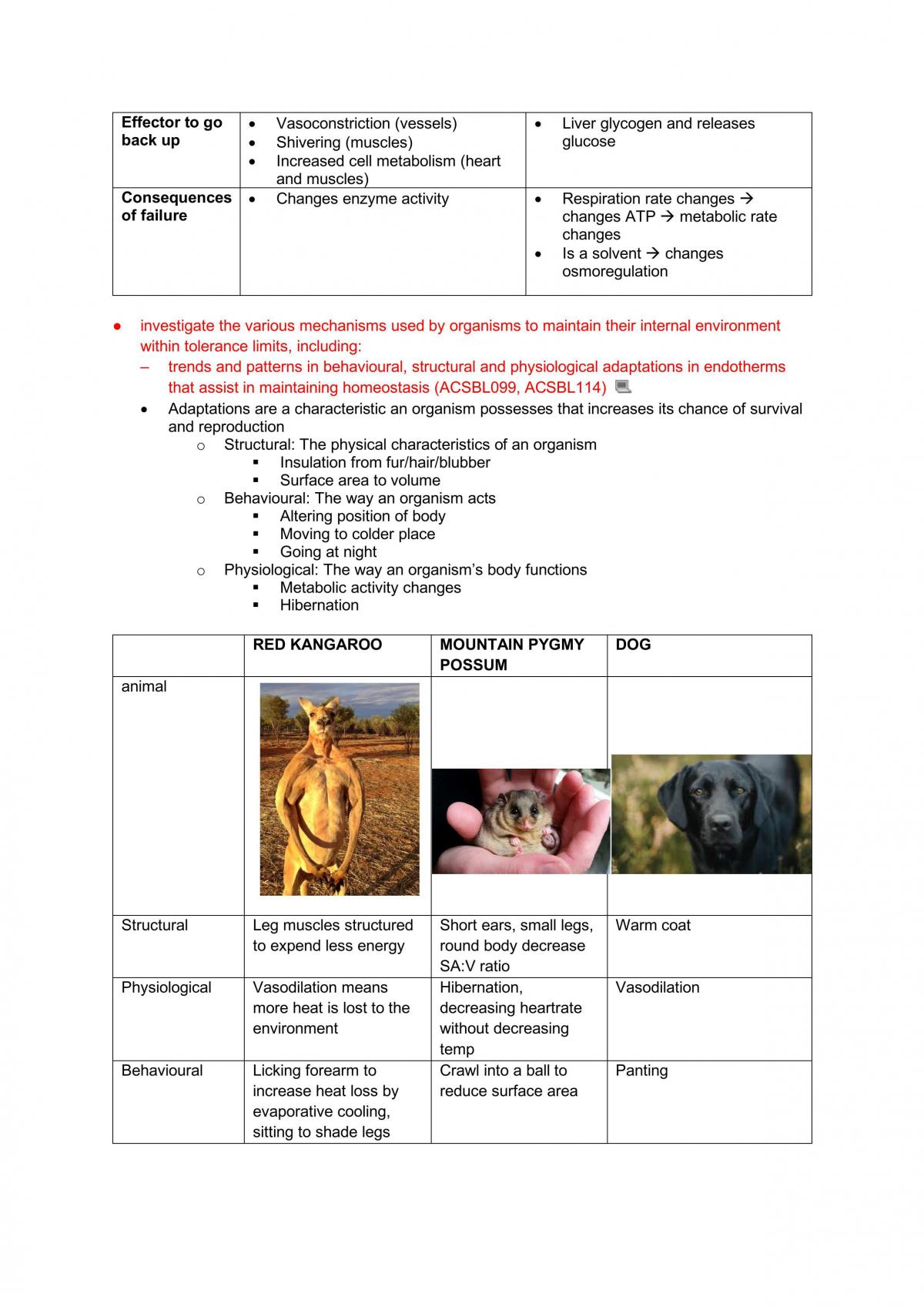Biology study notes - Page 38