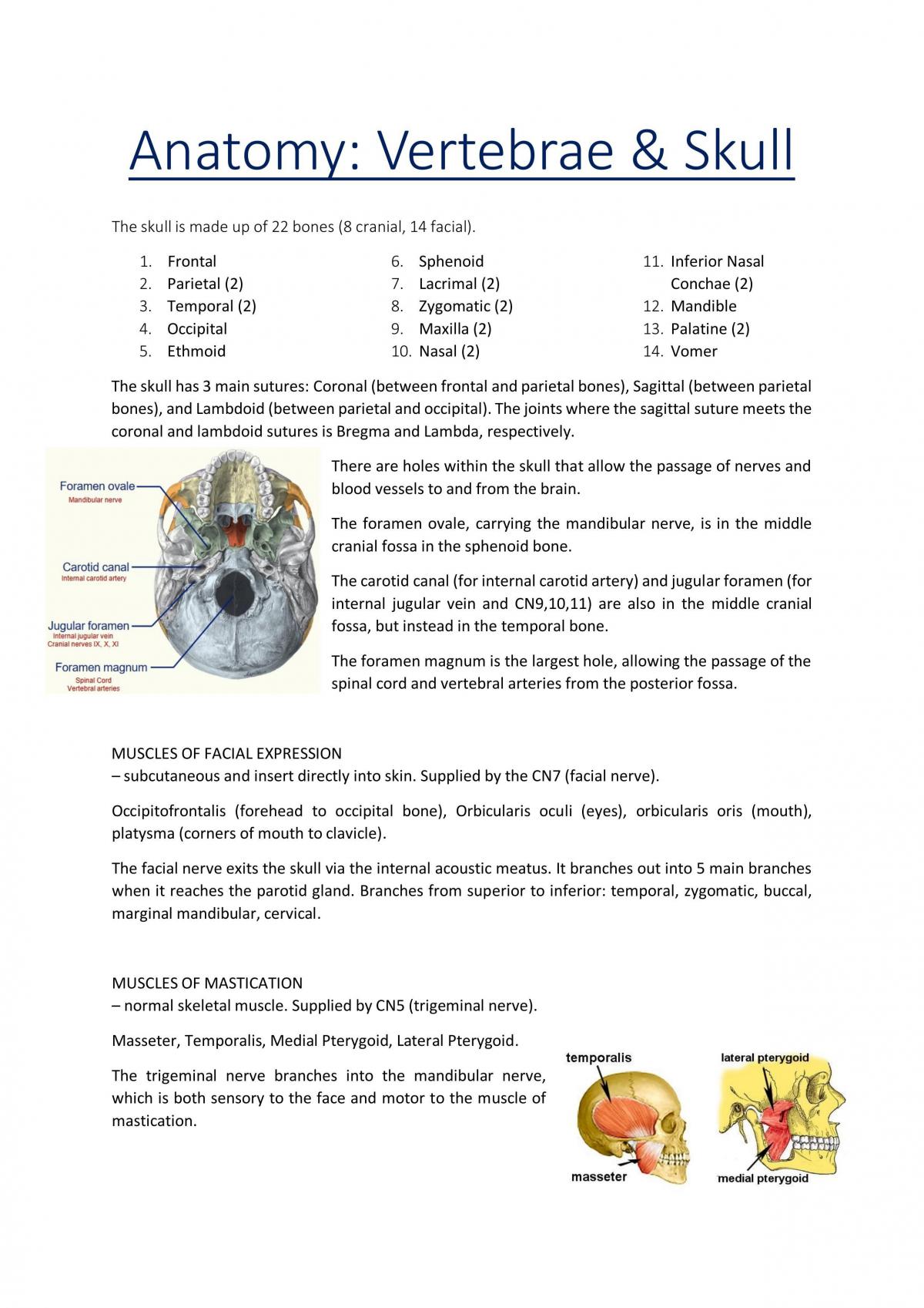 OHS 516 - Ergonomics Summary - Page 3