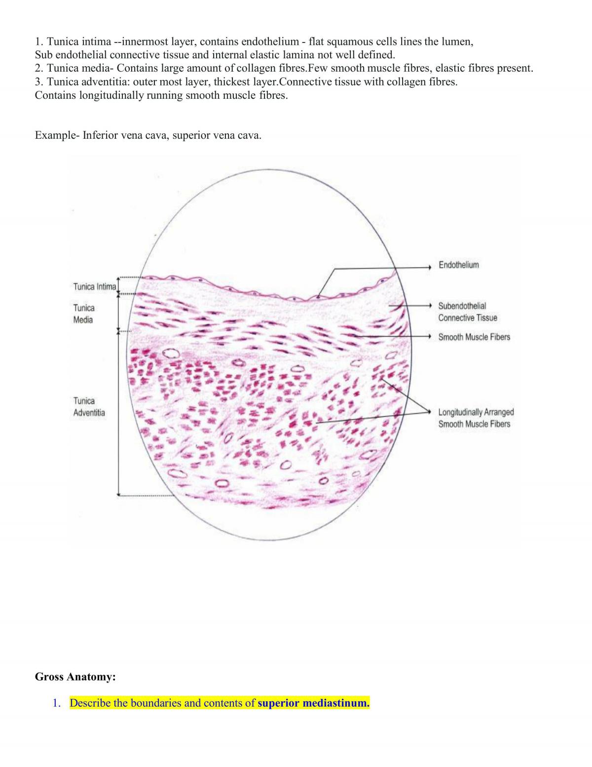 Anatomy Notes - Page 17