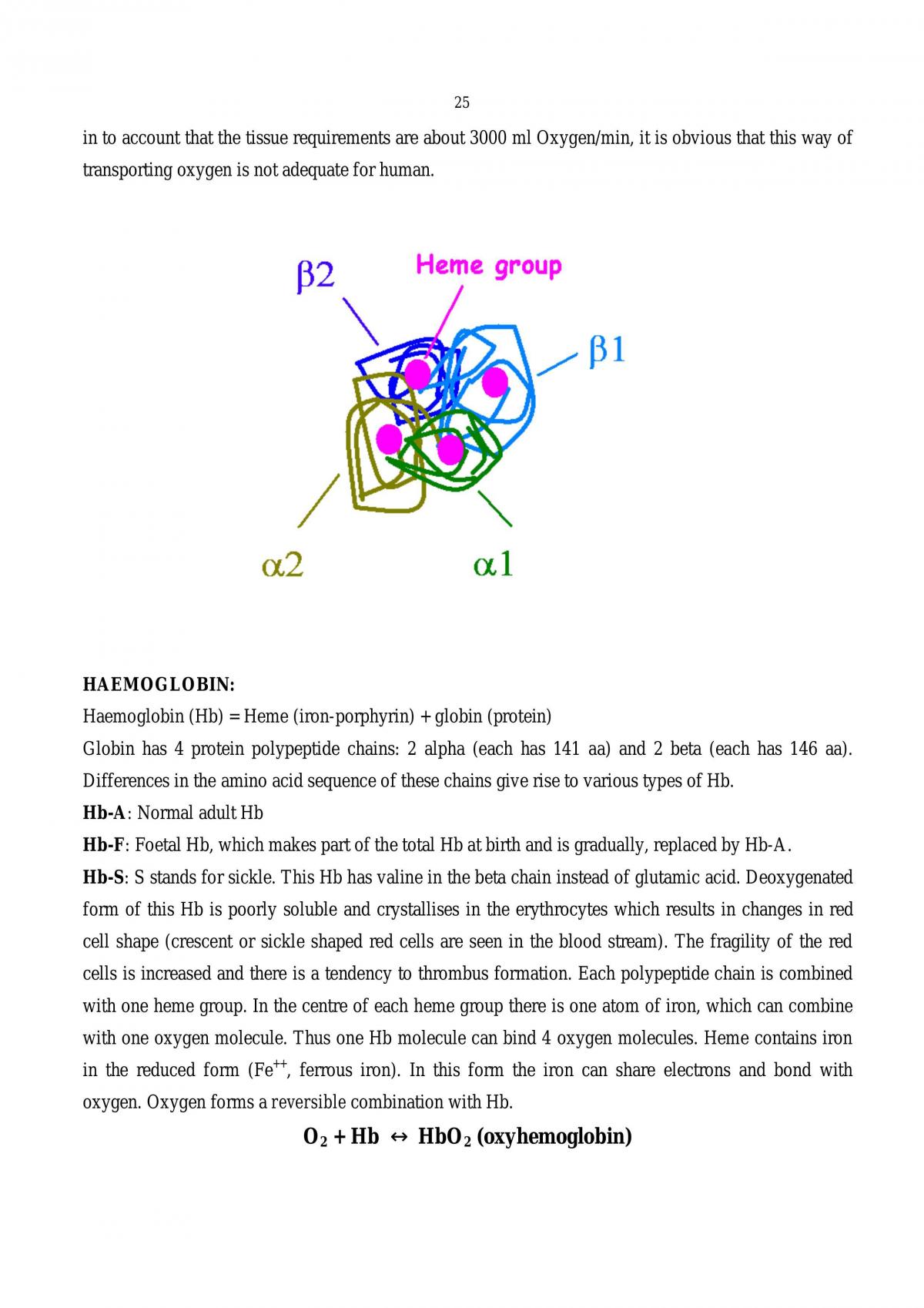 Physiology - Respiratory system - Page 25