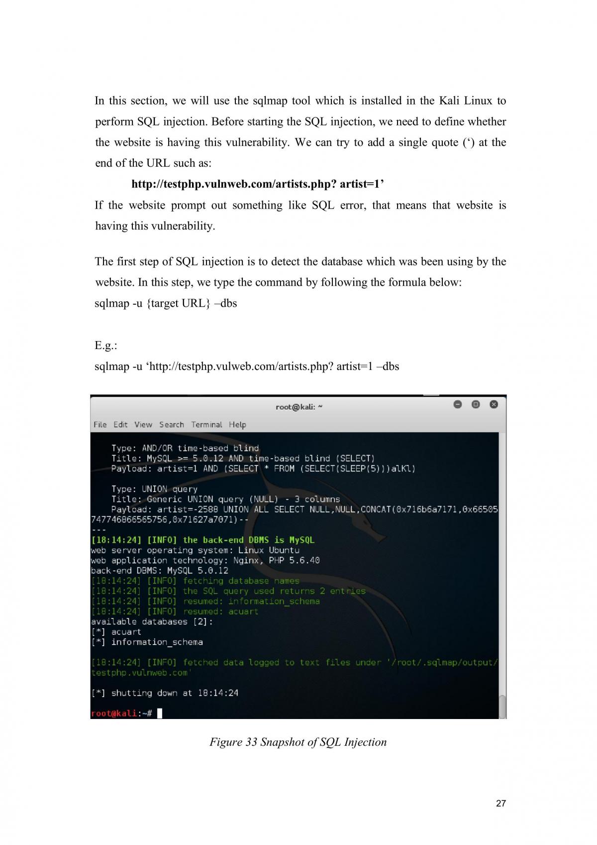 Penetration Testing - Page 27