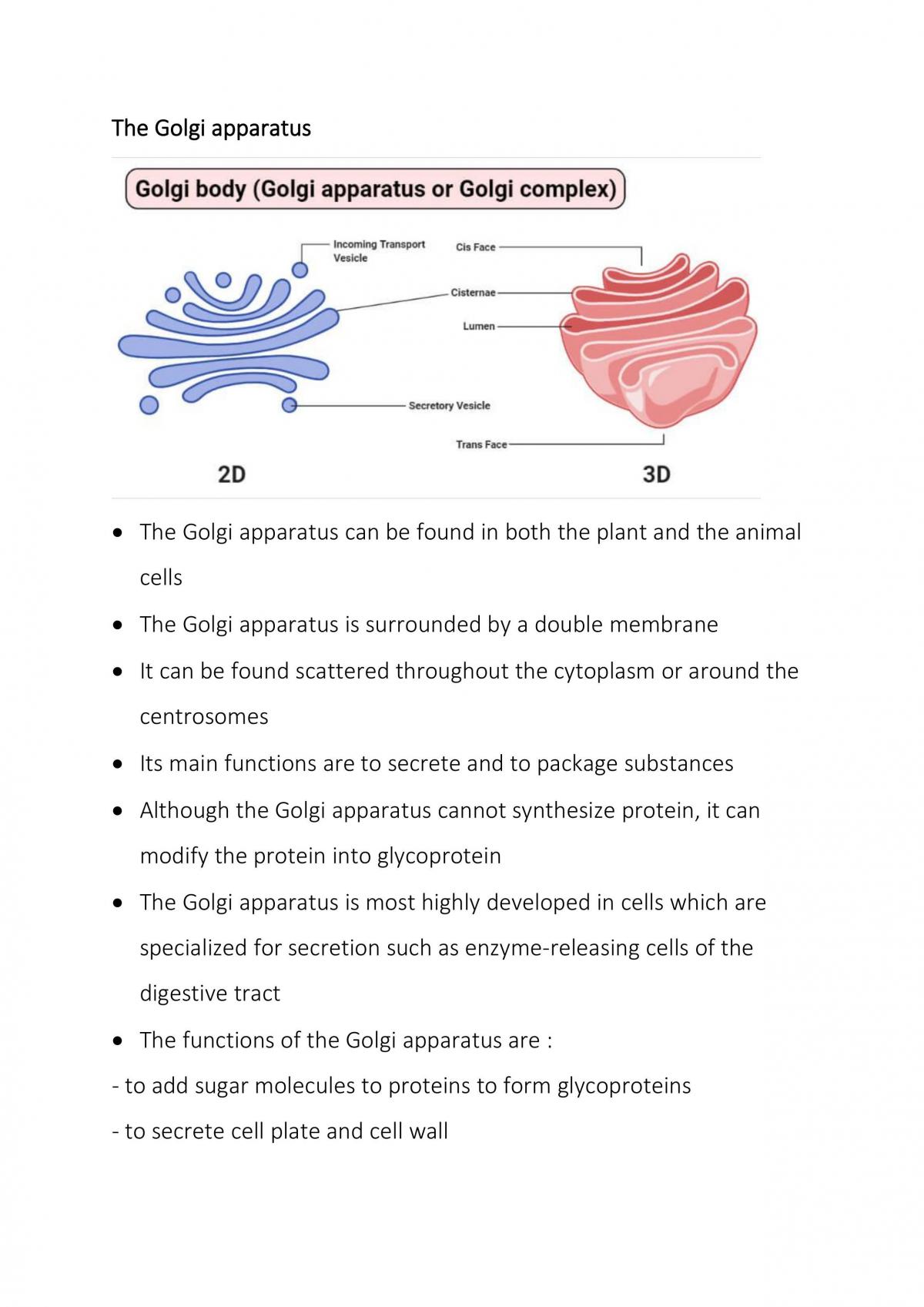 The structure of the cell - Page 12