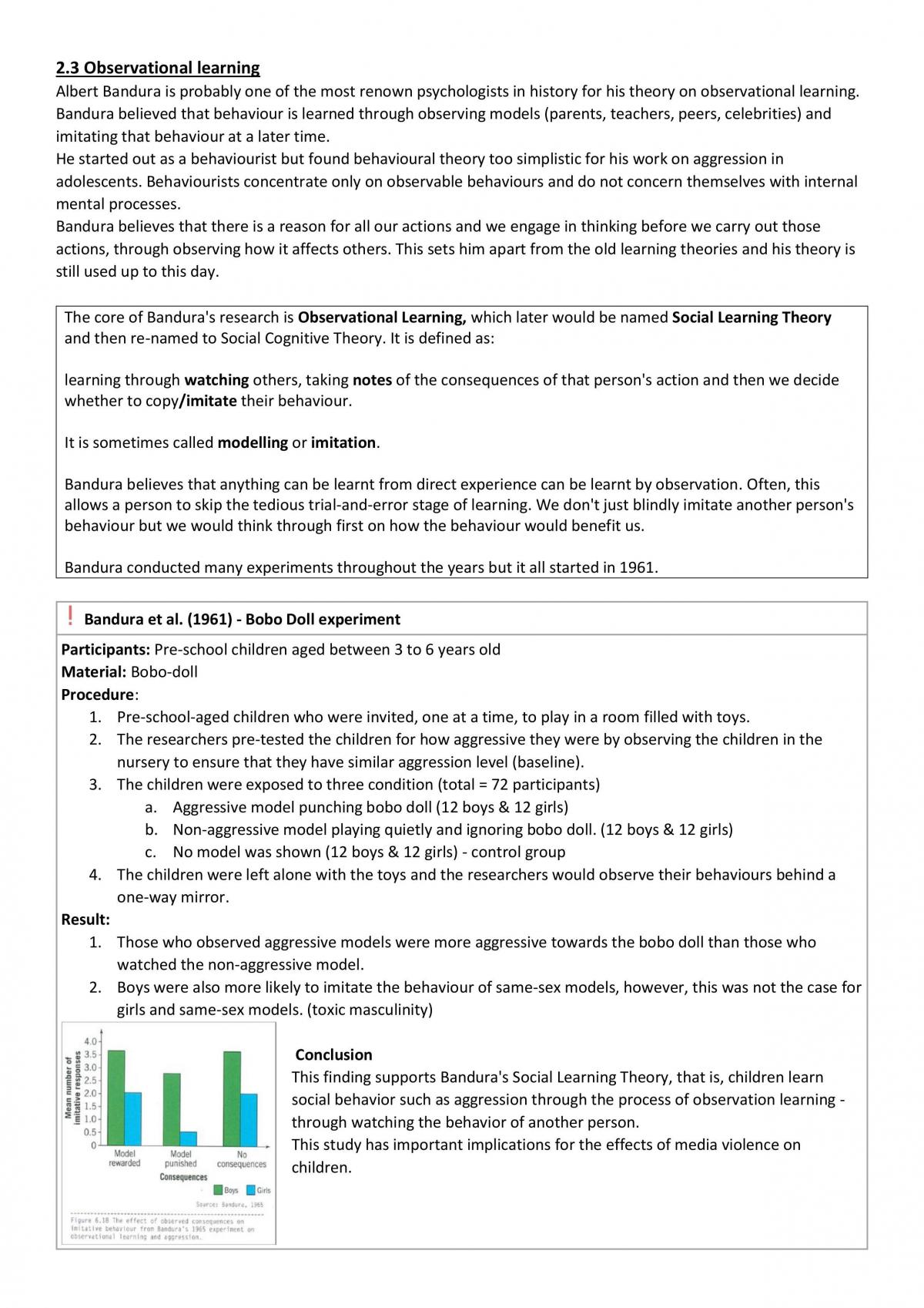 Cognition notes - Page 16