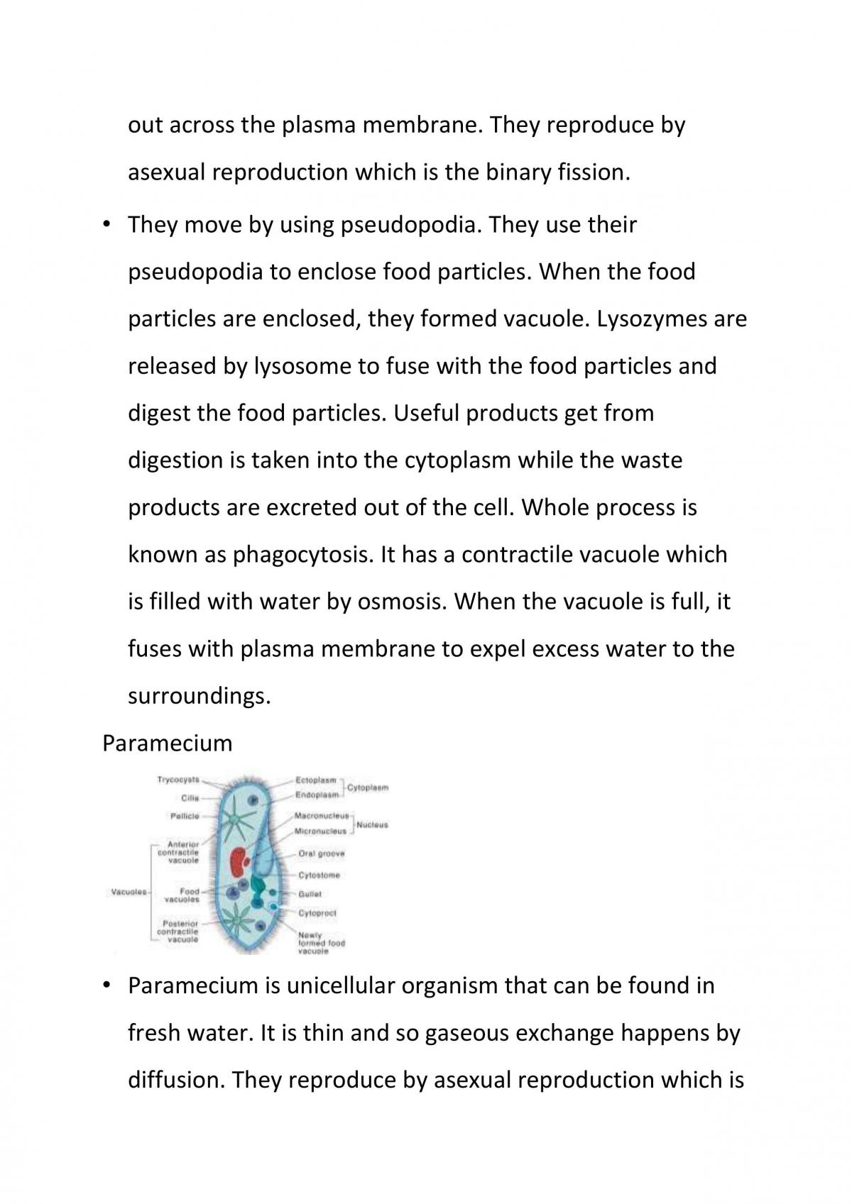 Cell Structure and Cell Organisation  - Page 14