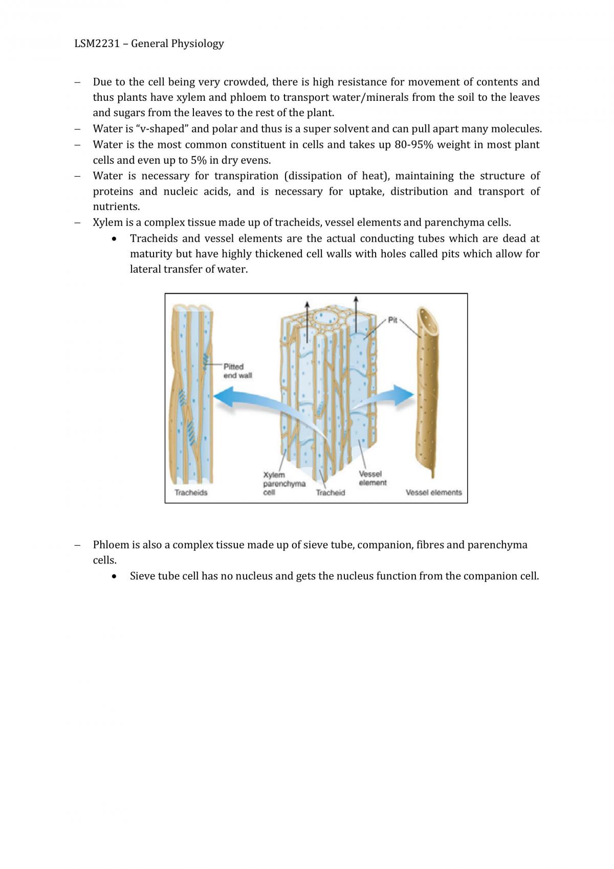 LSM2101 Study Notes for General Physiology (Plants - Page 15