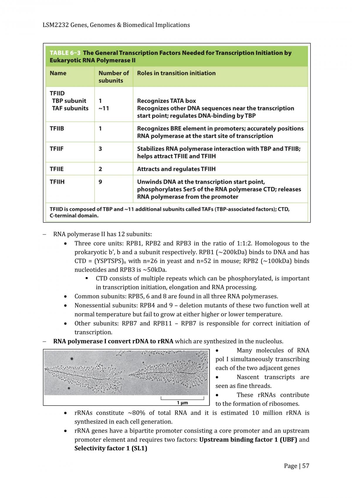 LSM2232 Study Notes - Page 57