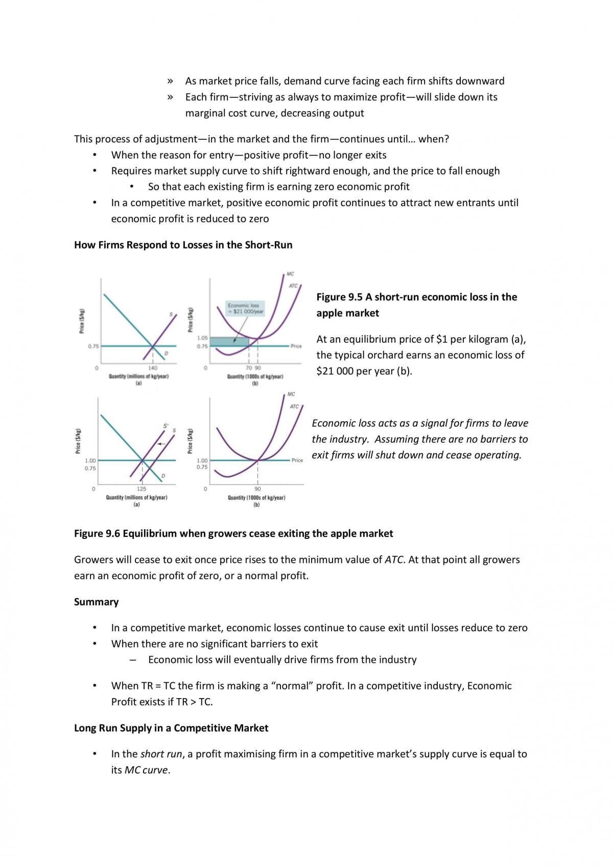 Microeconomics Complete Study Notes - Page 41