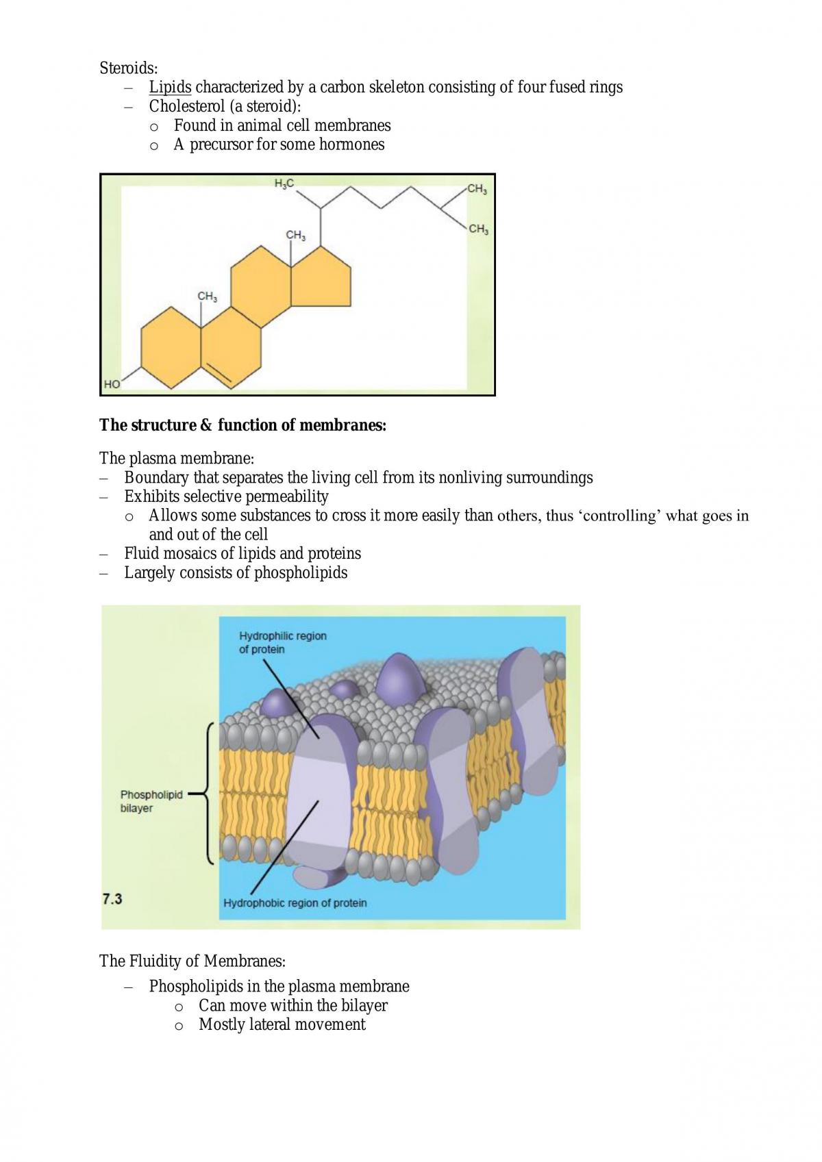 Revision Notes for Biological Systems - Page 21