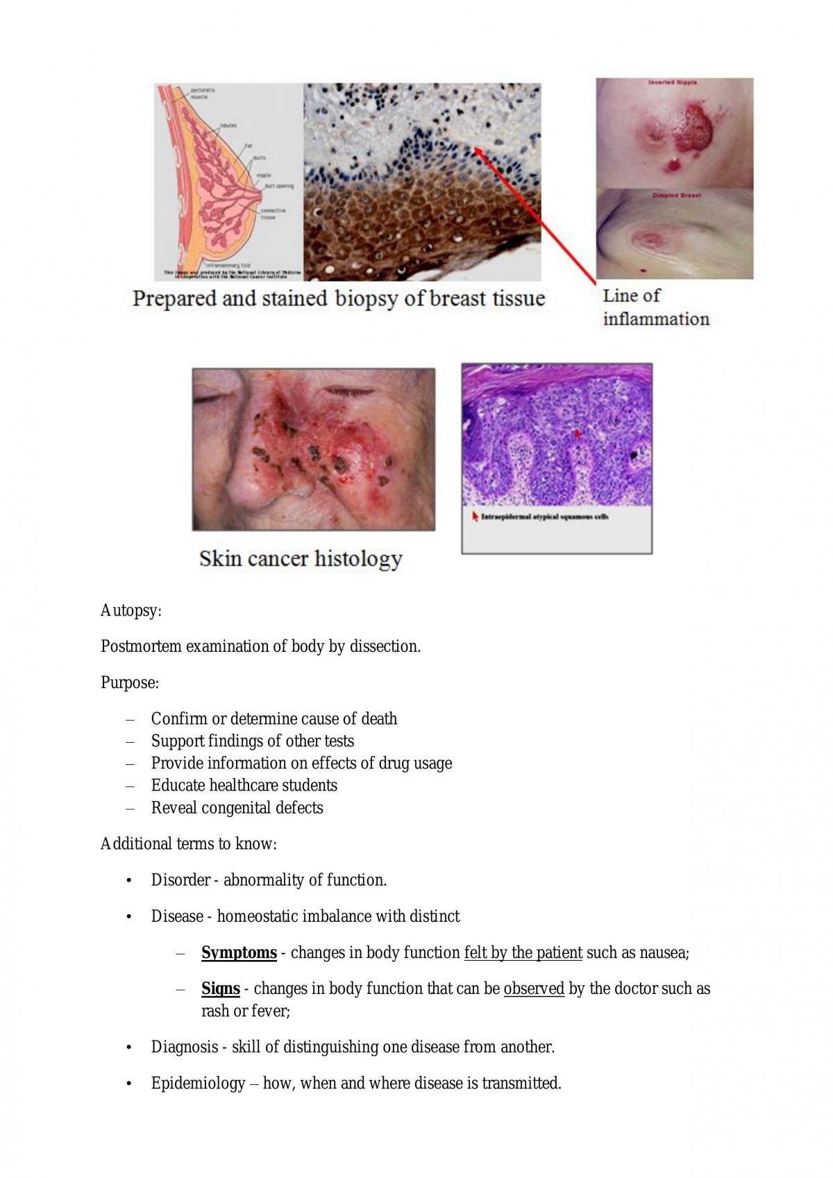 Human Biology Complete Course Notes - Page 29
