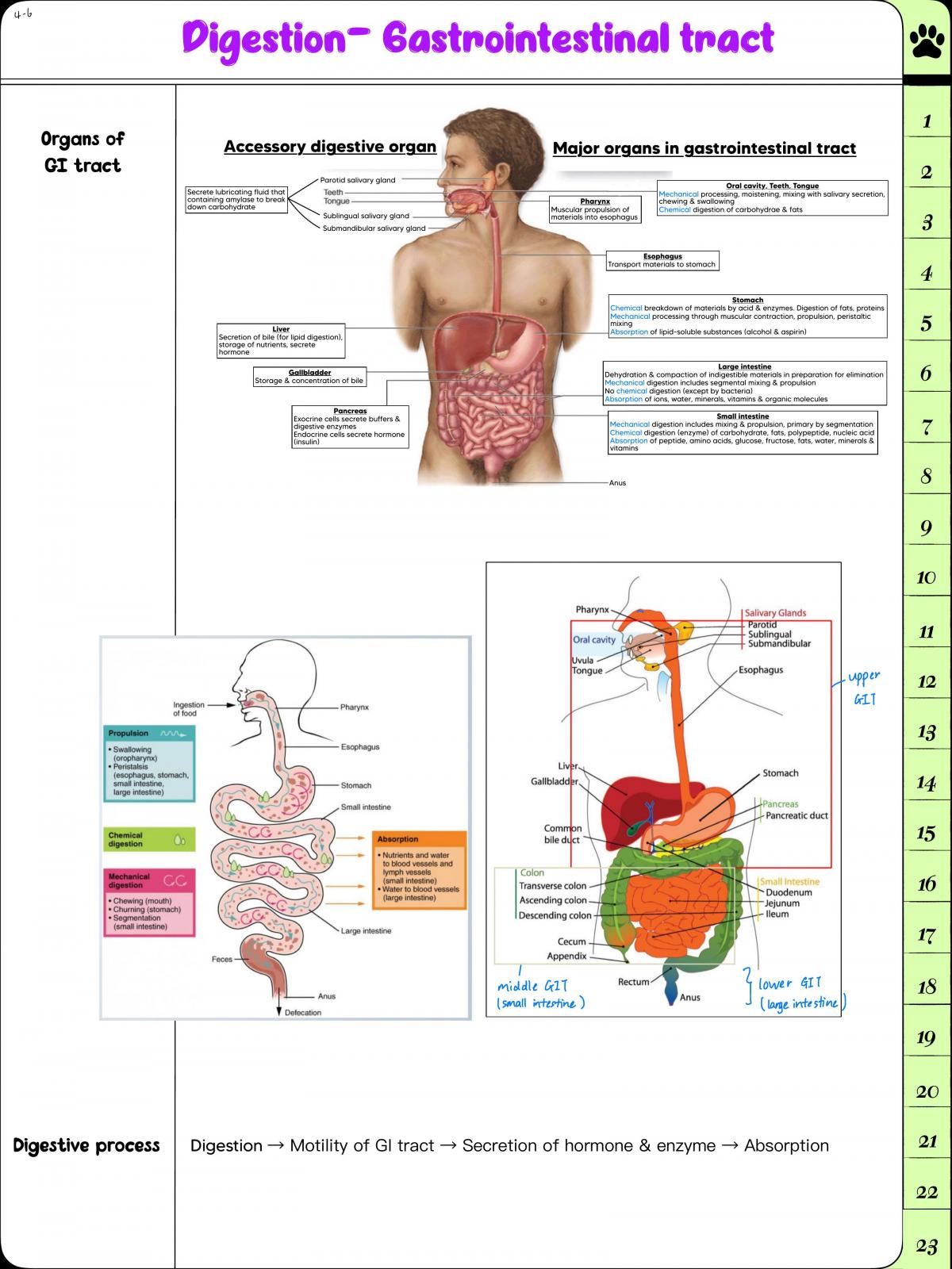 Study note for PHY2820 - Page 3