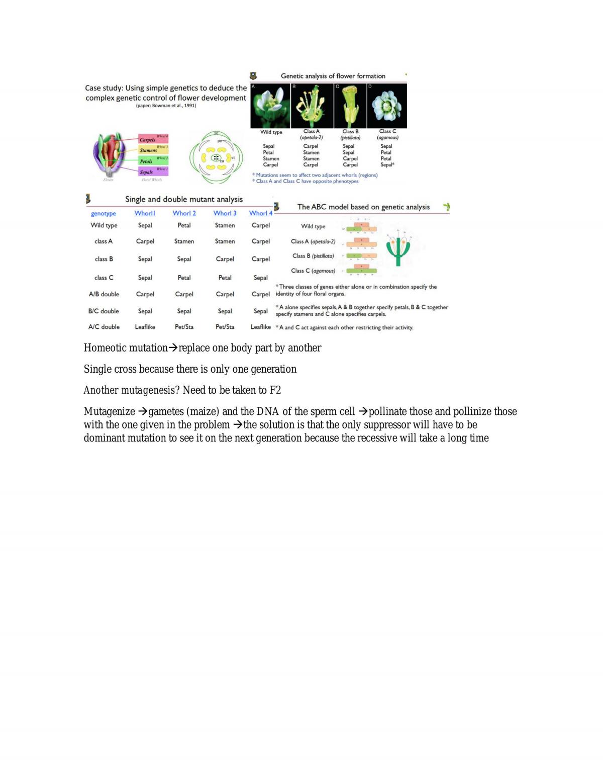 Complete Study Notes for Genetics BIOL2202  - Page 148