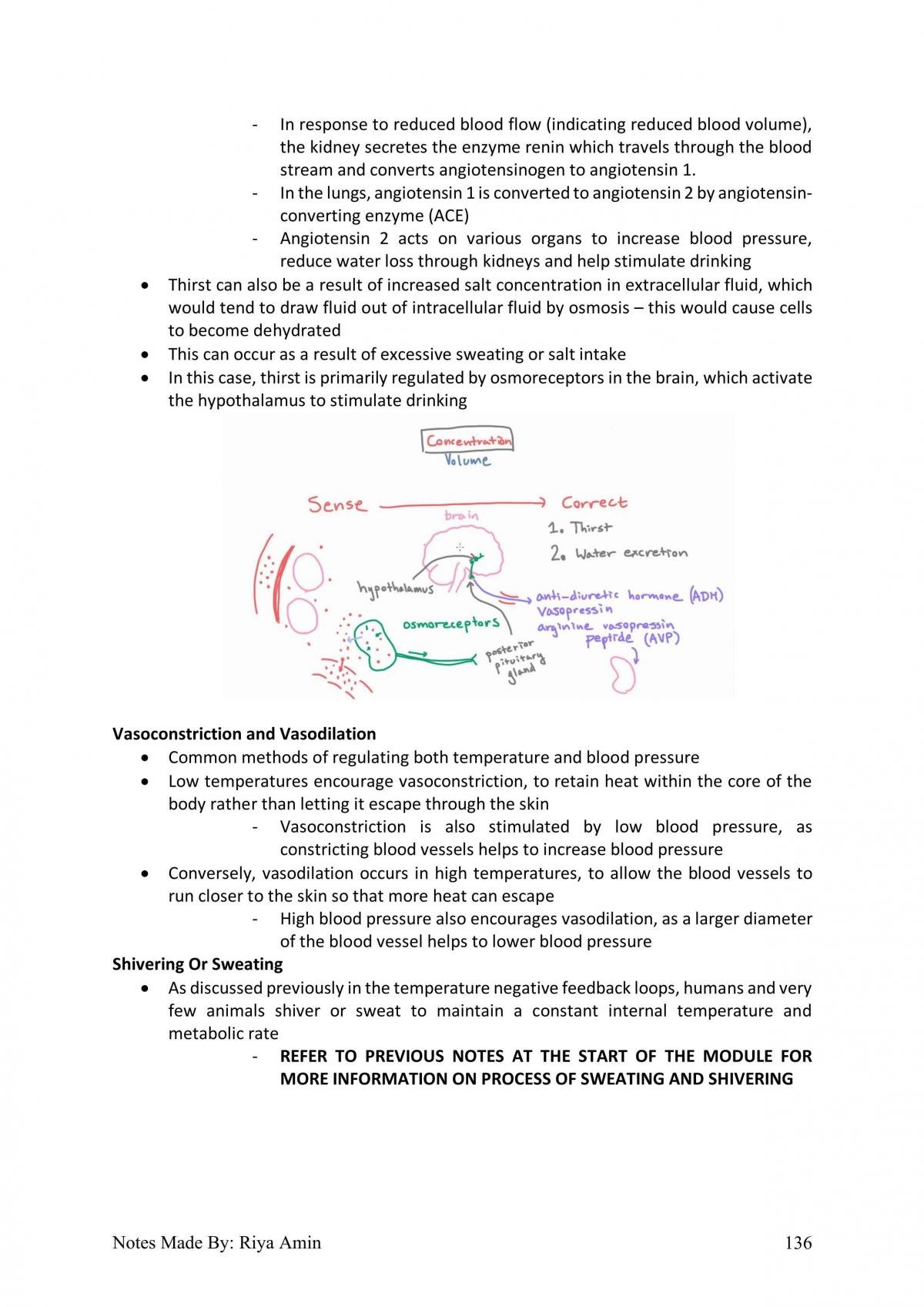 Biology Notes - Page 136