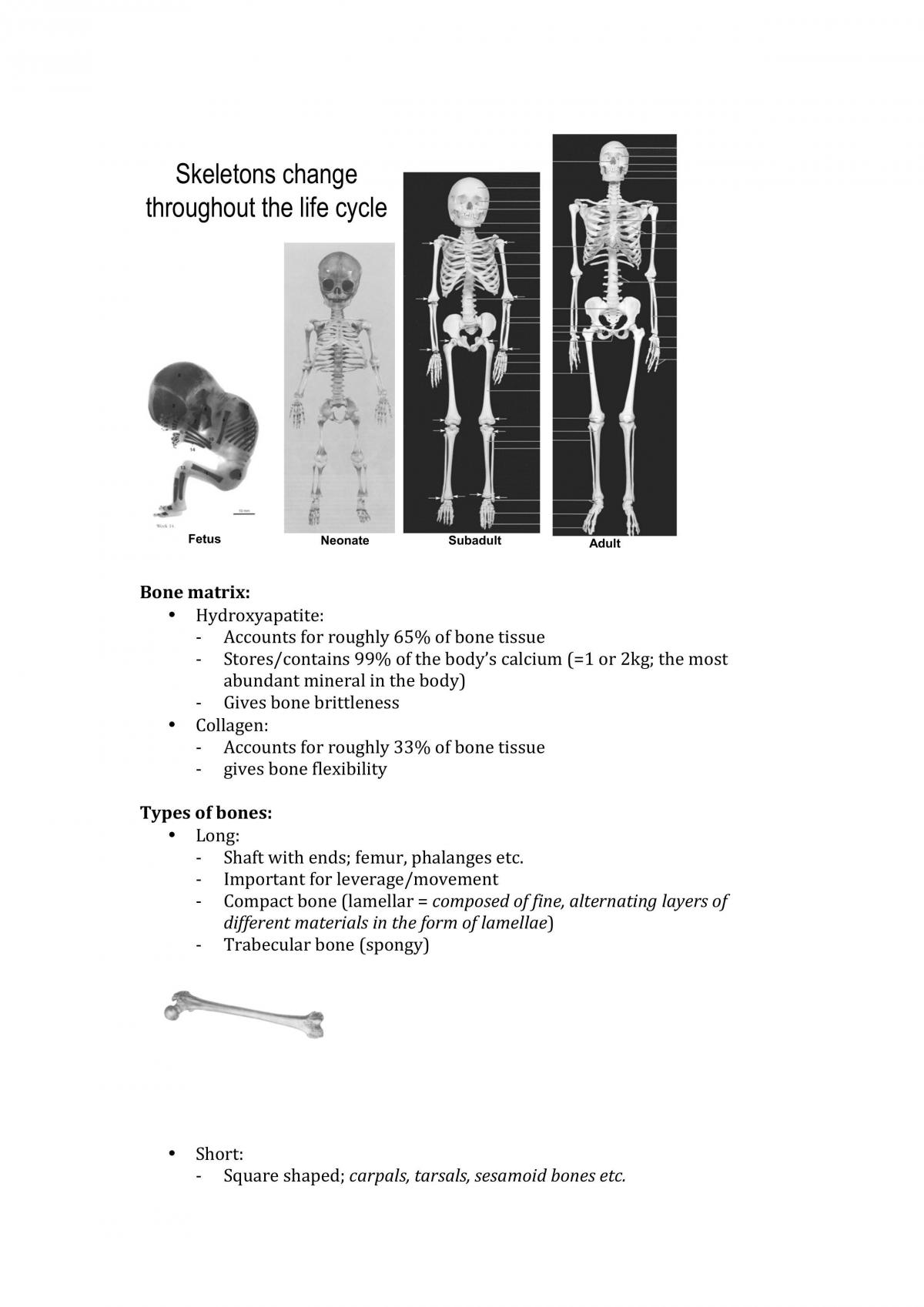 BIOL1040 Study Notes - Page 65