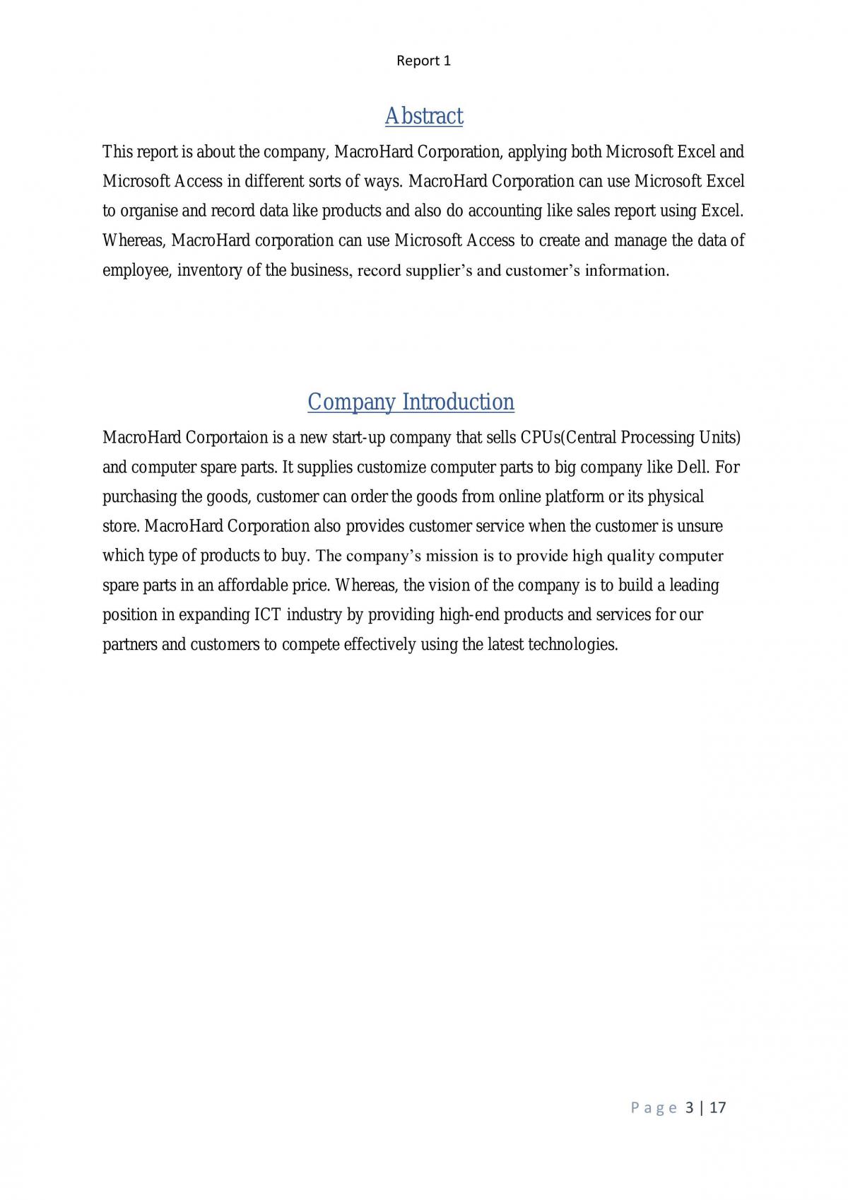 IT strategy report 1 - Page 3