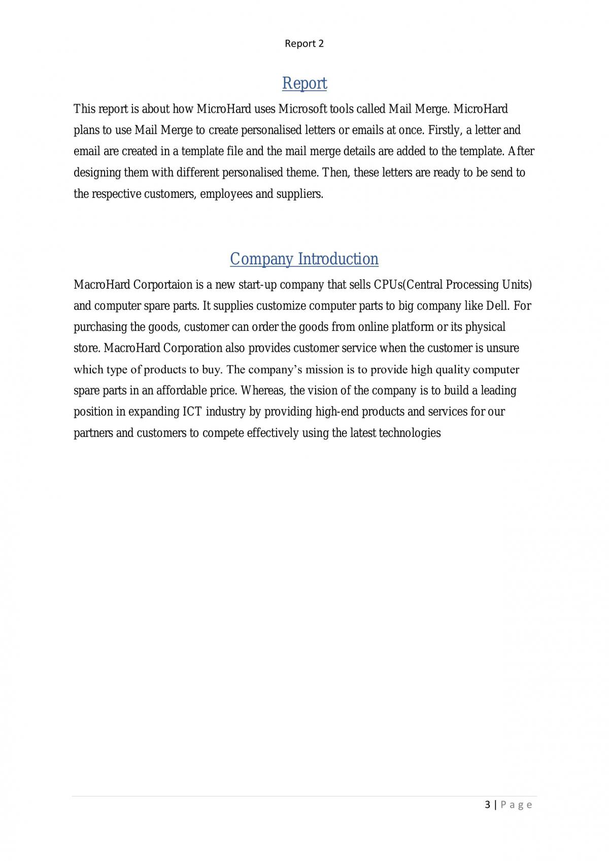 IT strategy report 2 - Page 3