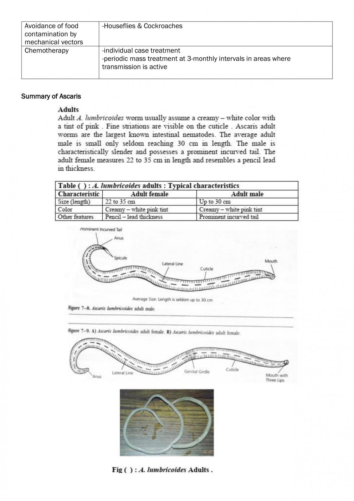 Giardiasis & Ascariasis - Page 15
