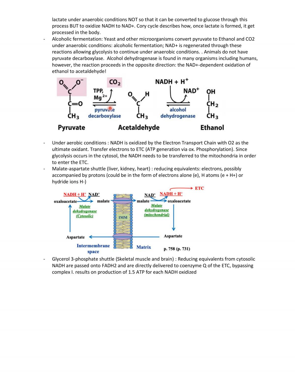BIOC 2580 Full course notes - Page 25