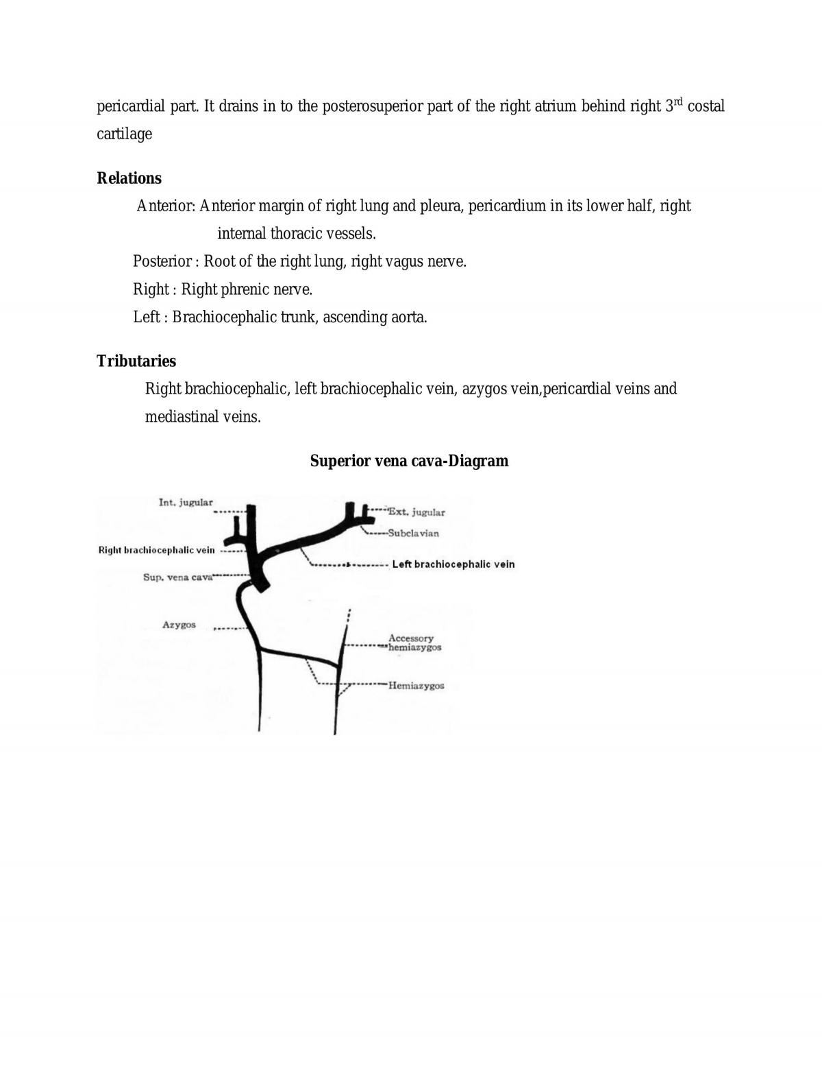 Anatomy of cardiovascular system - Page 29