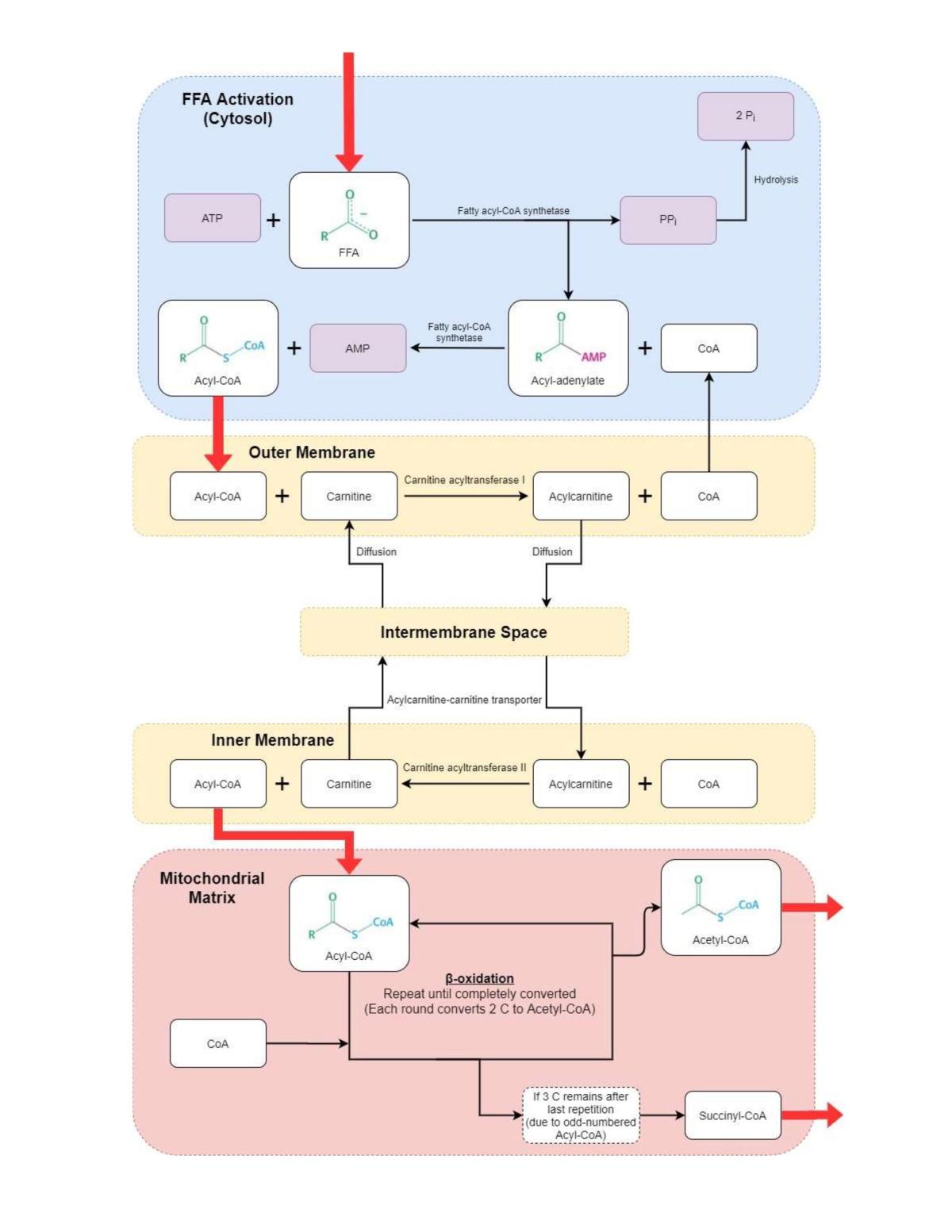 PR1152 Comprehensive Notes - Page 81