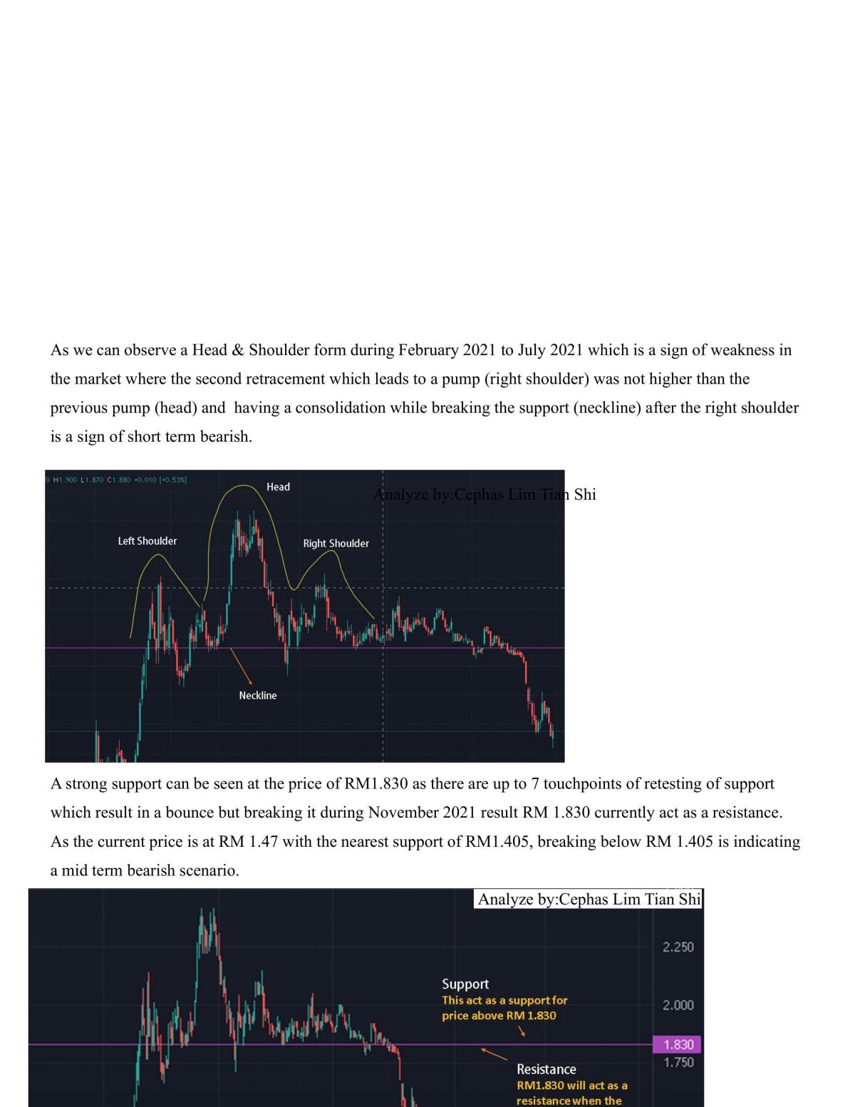 Principles of Investment (Group Assignment) - Page 33