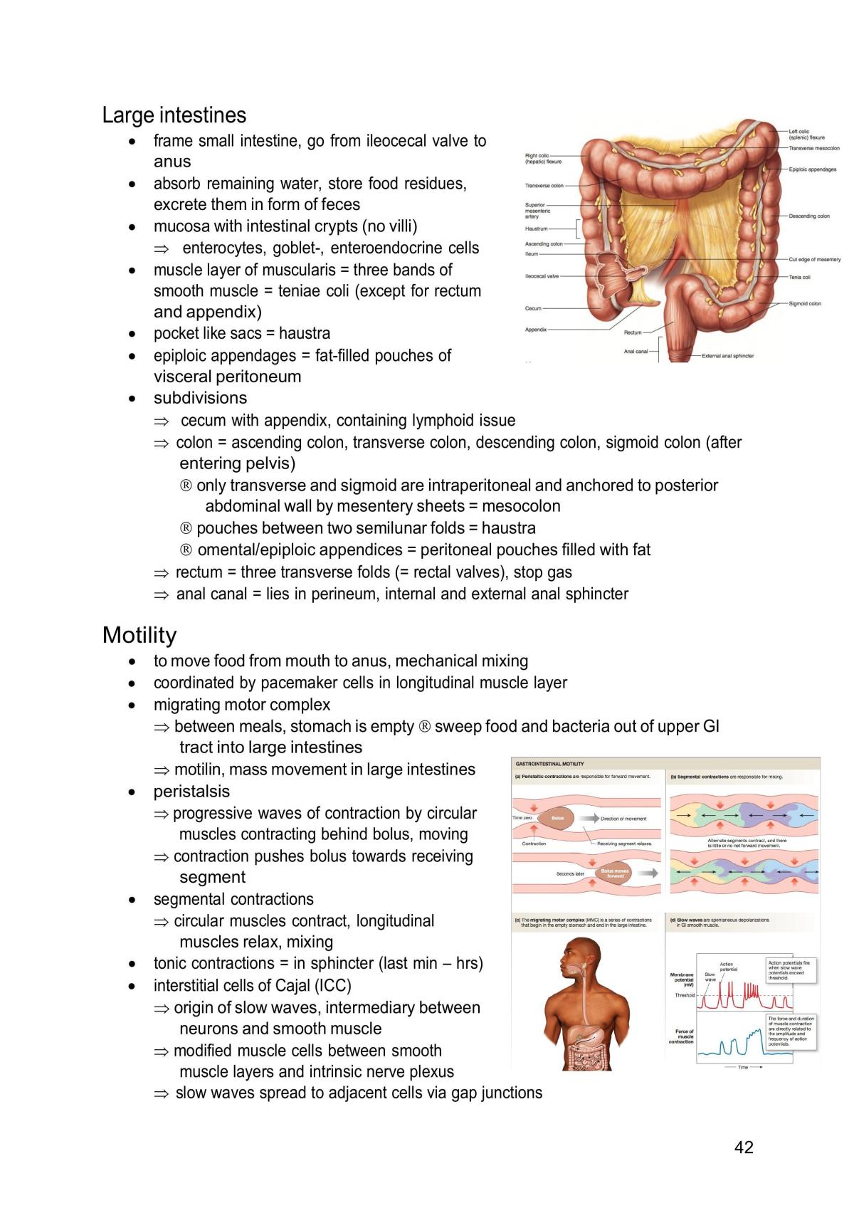 PLN 203 Notes - Page 42