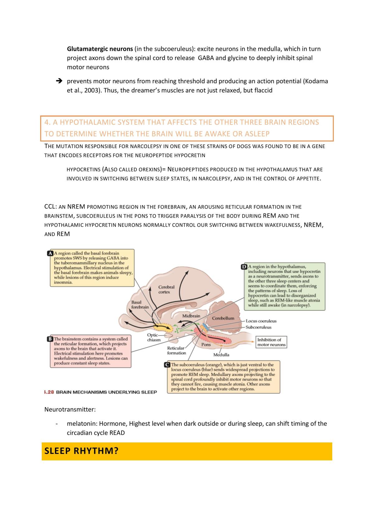 The Aging Mind - Complete Summary - Page 52