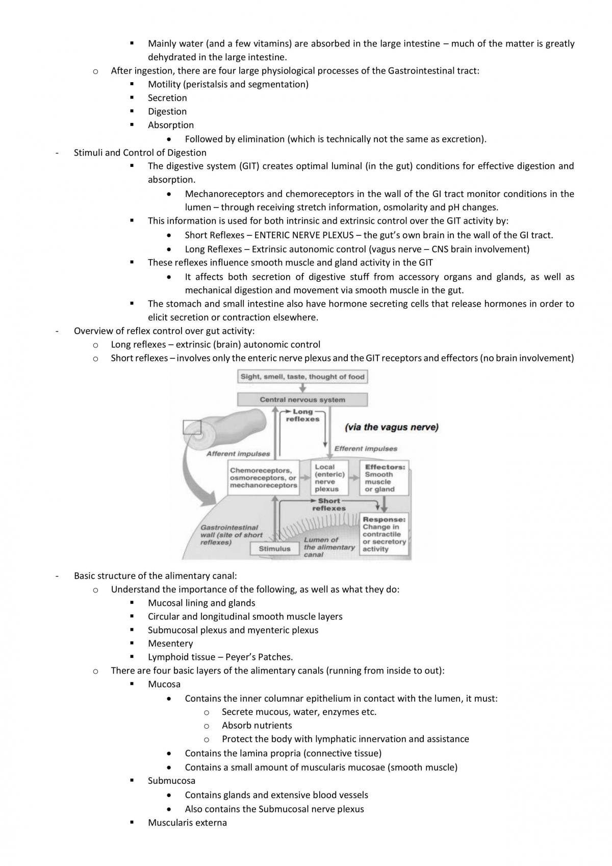 Anatomy & Physiology Systems II Notes - Page 54