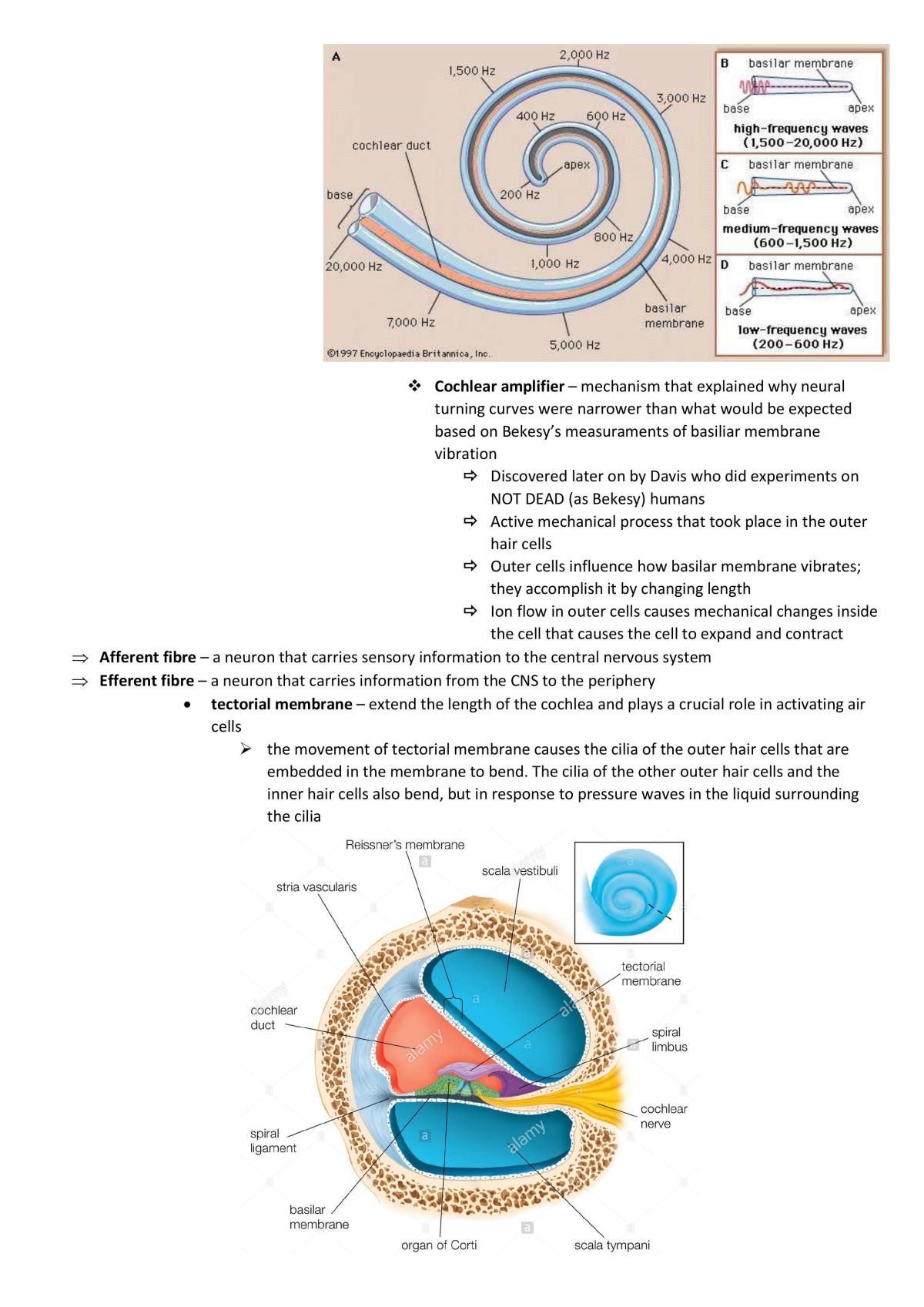 Perception Summary - Page 52