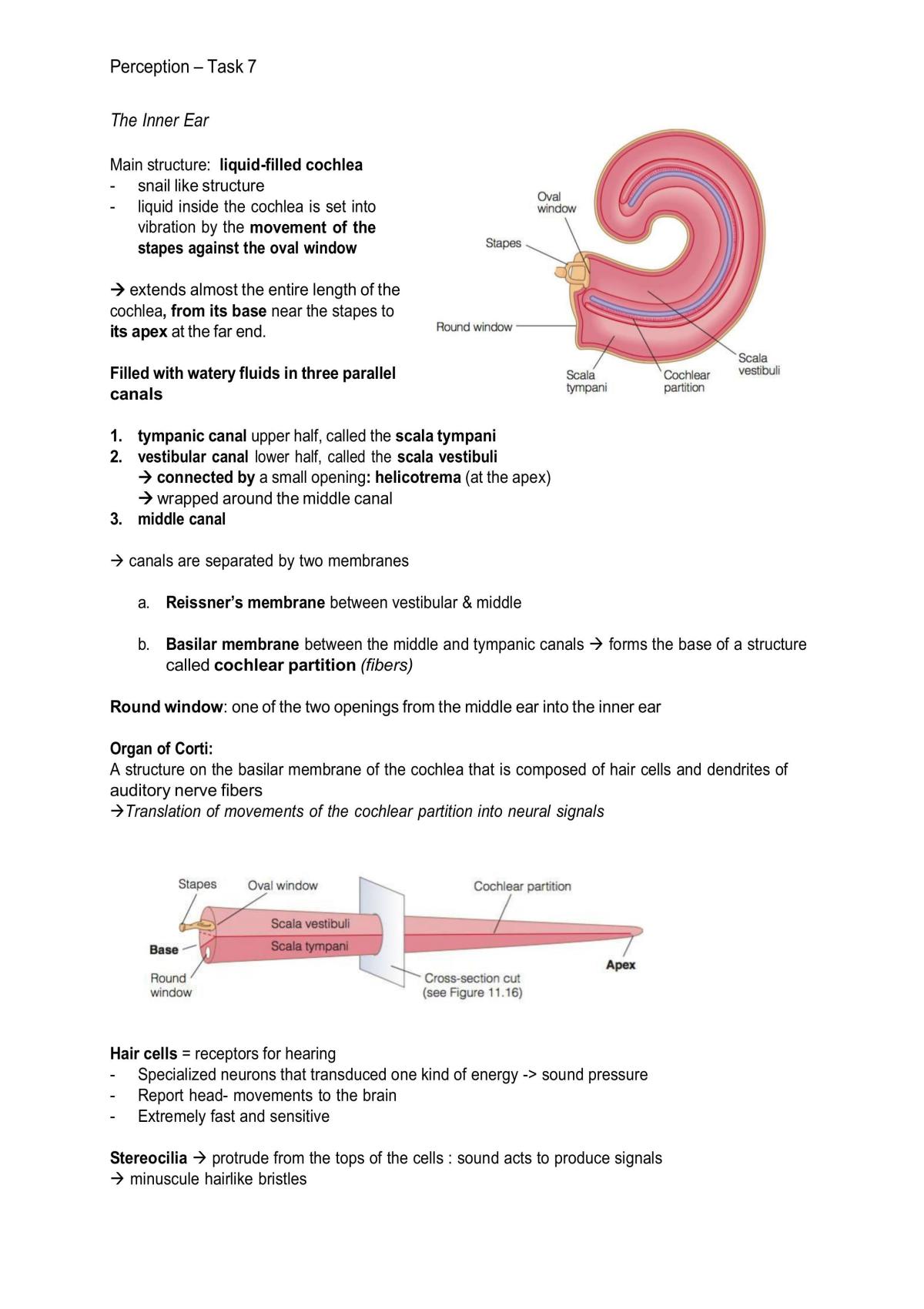 Person Perception Notes - Page 75