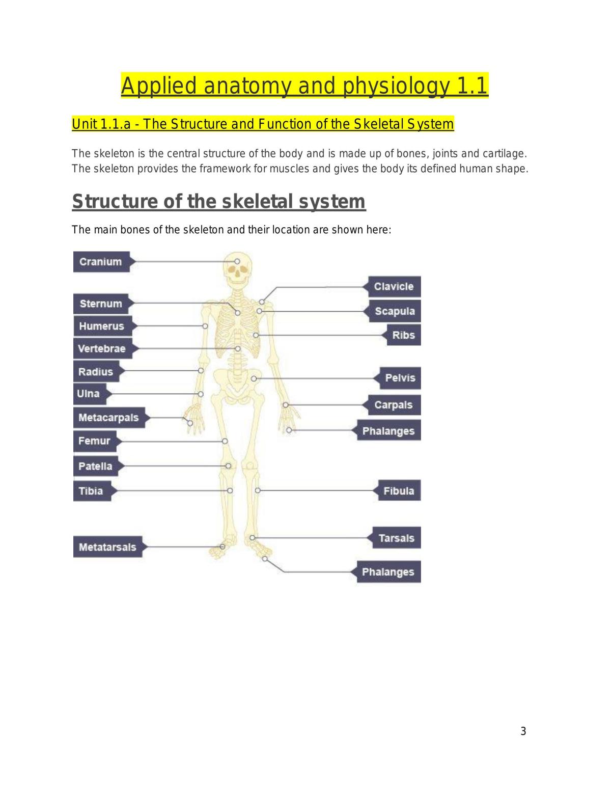 OCR GCSE PE study notes  - Page 3