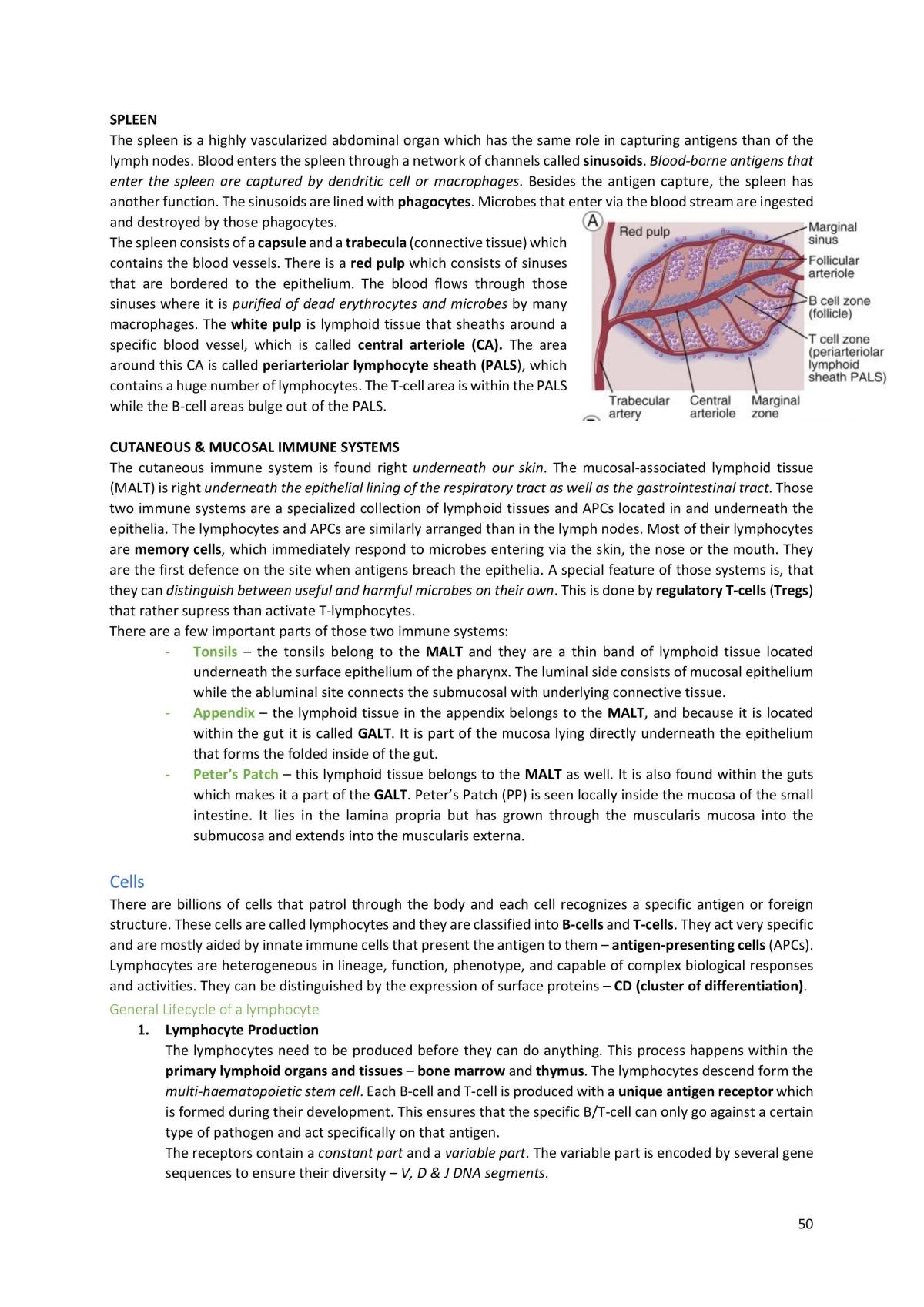 Full Summary for Mechanical Behaviour of Materials - Page 50