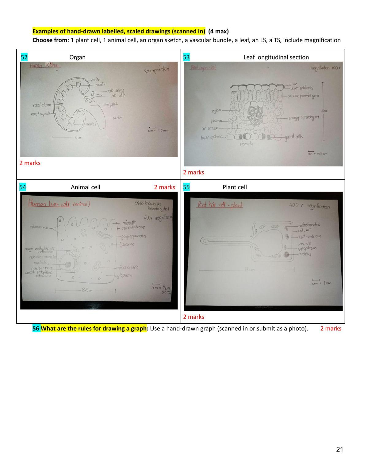 Biology Prelims Exam Condensed Study Notes - Page 21