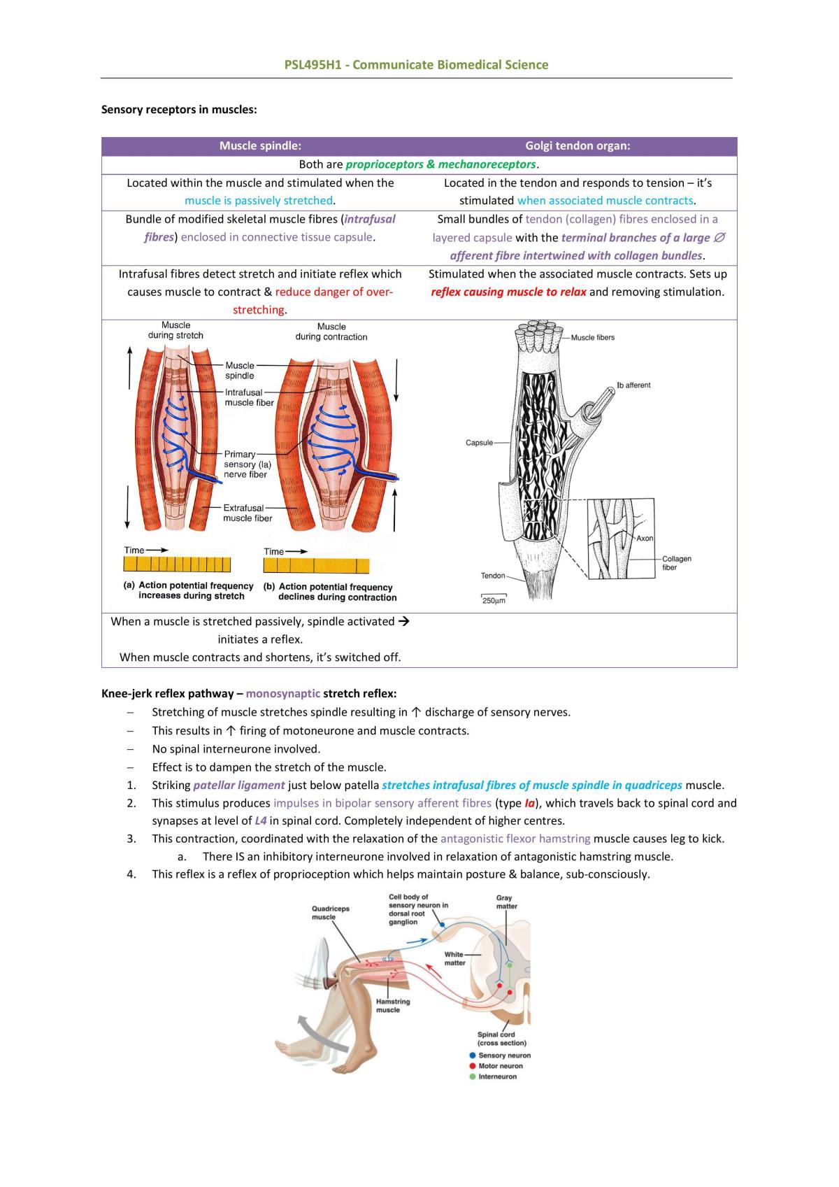 Communicate Biomedical Science Review - Page 55