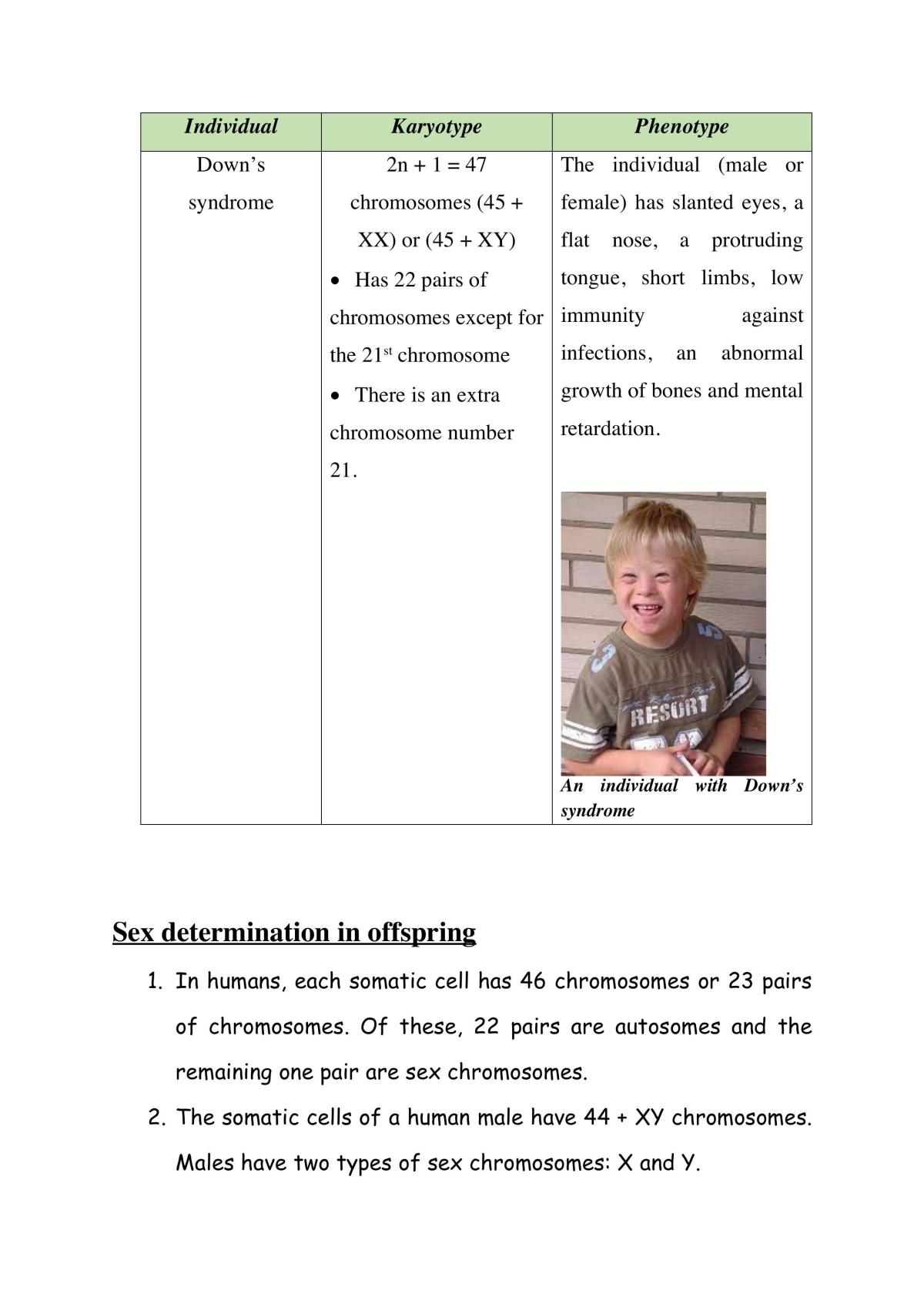 Biology Form 5 study notes - Inheritance  - Page 25