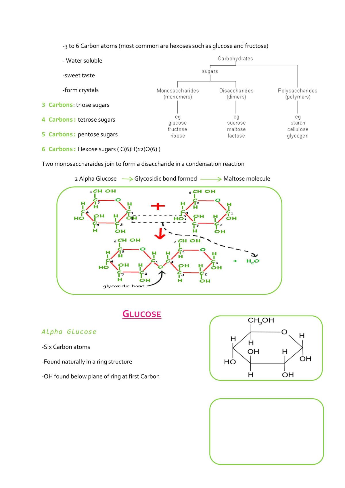 OCR AS Biology notes - Page 19
