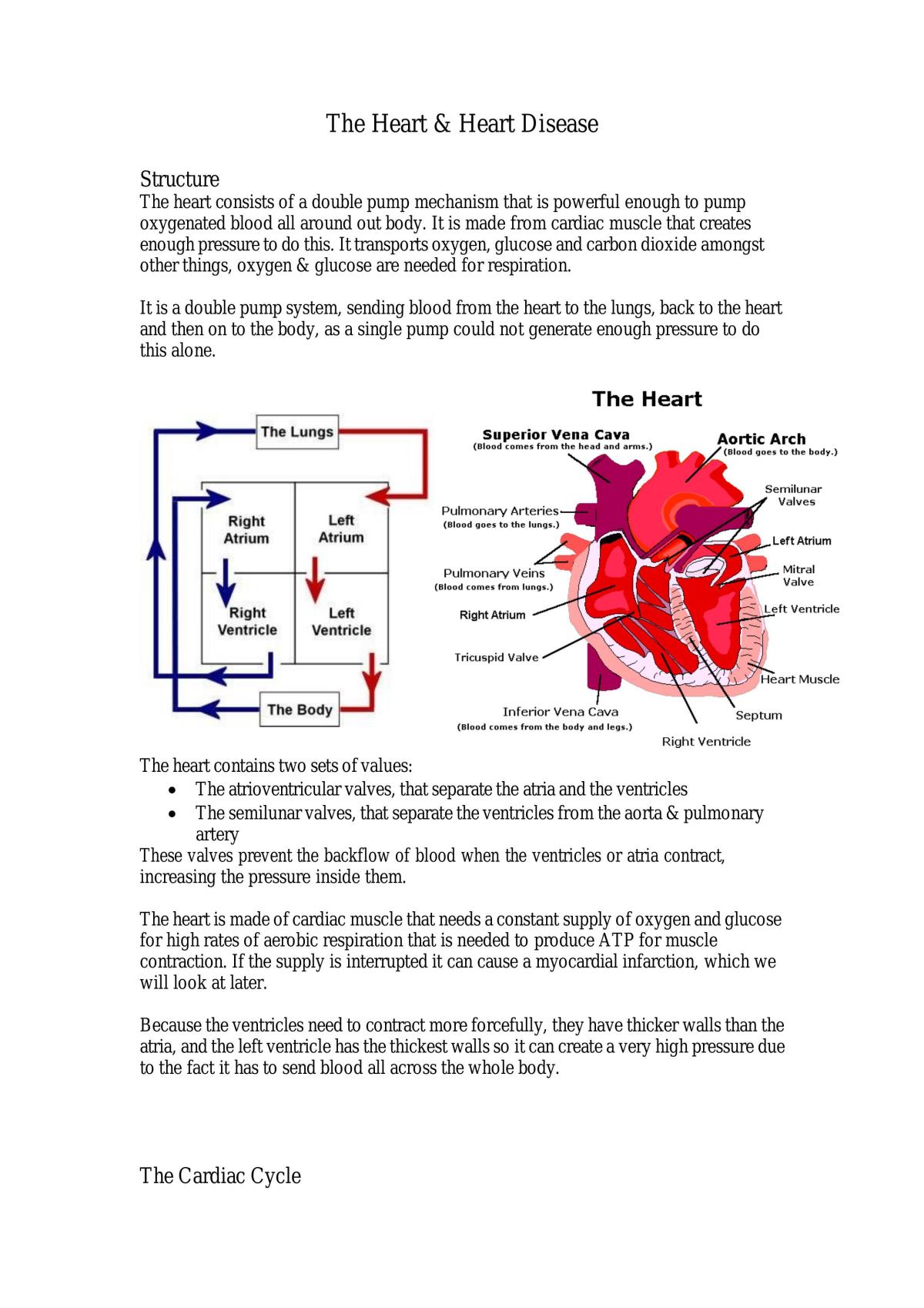 AQA AS Biology- full notes  - Page 3