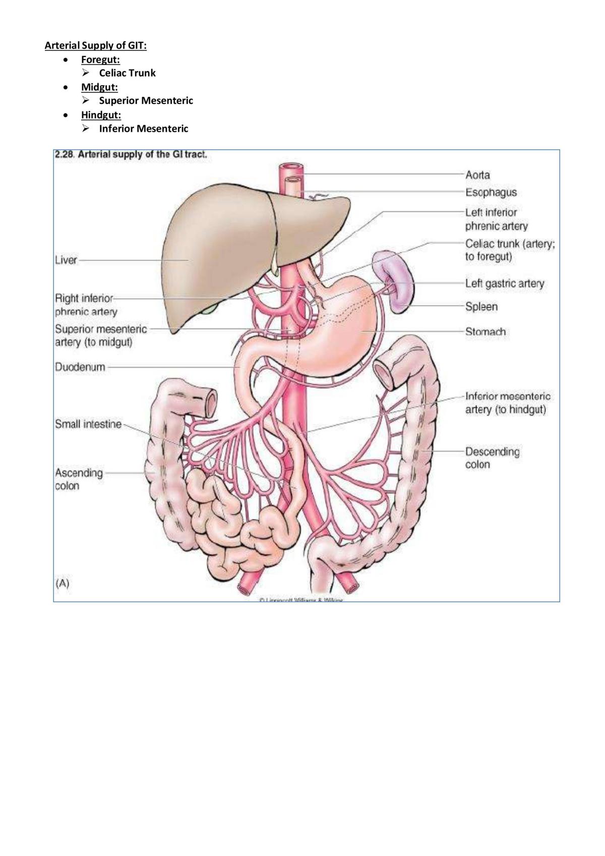 Basic of GIT - Surgery - Page 23