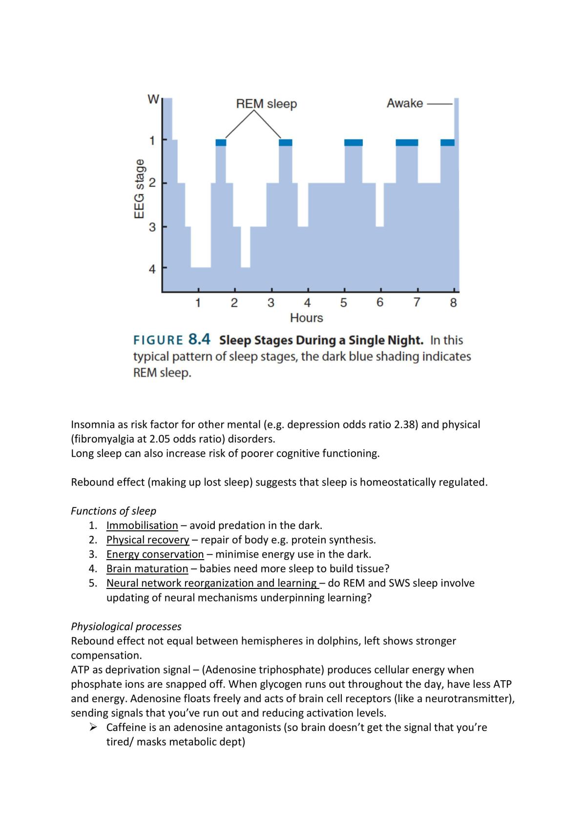 Behavioural Neuroscience Review - Page 40