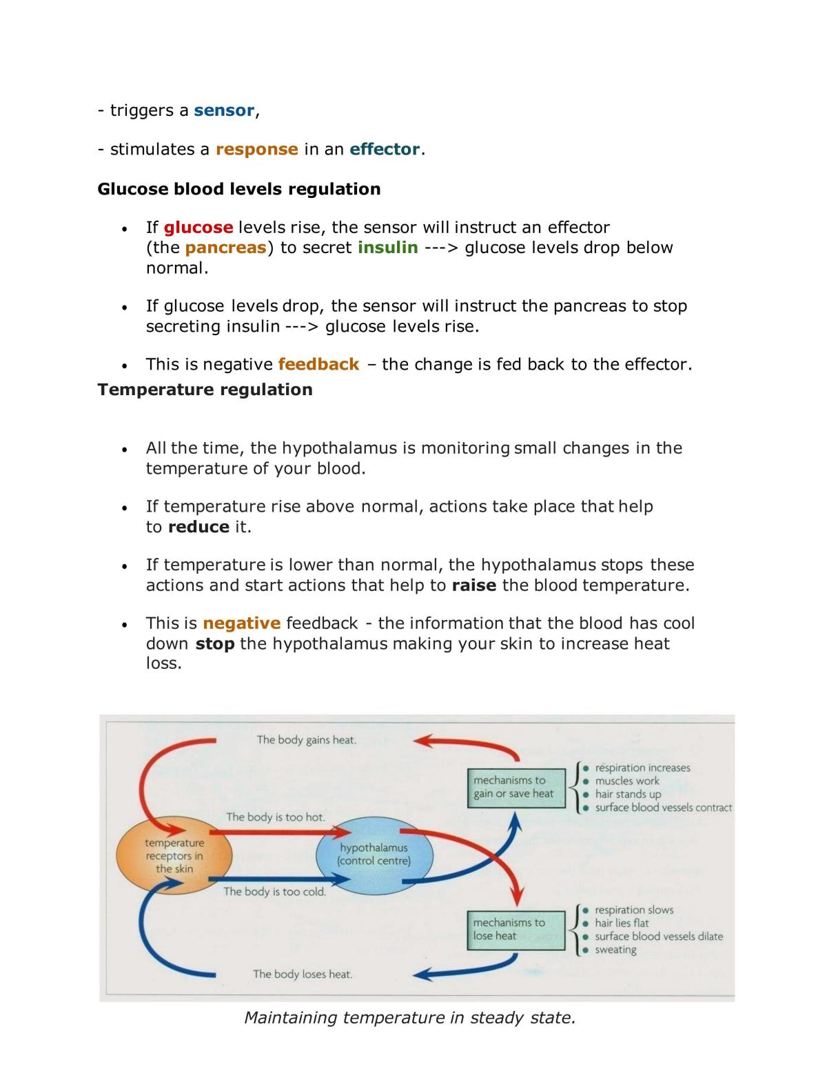 General Biology Notes - Page 39